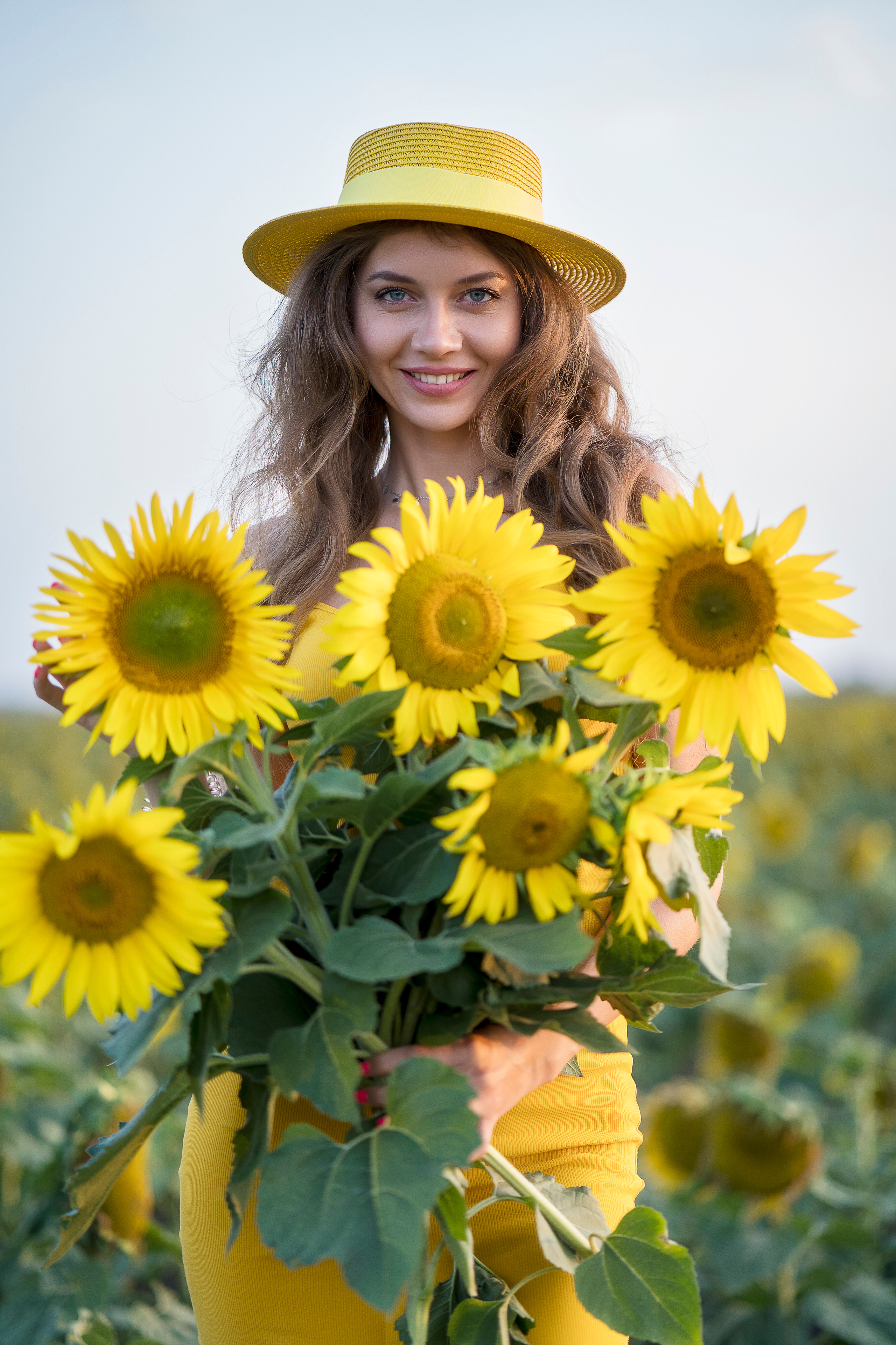 Подсолнухи. Главная