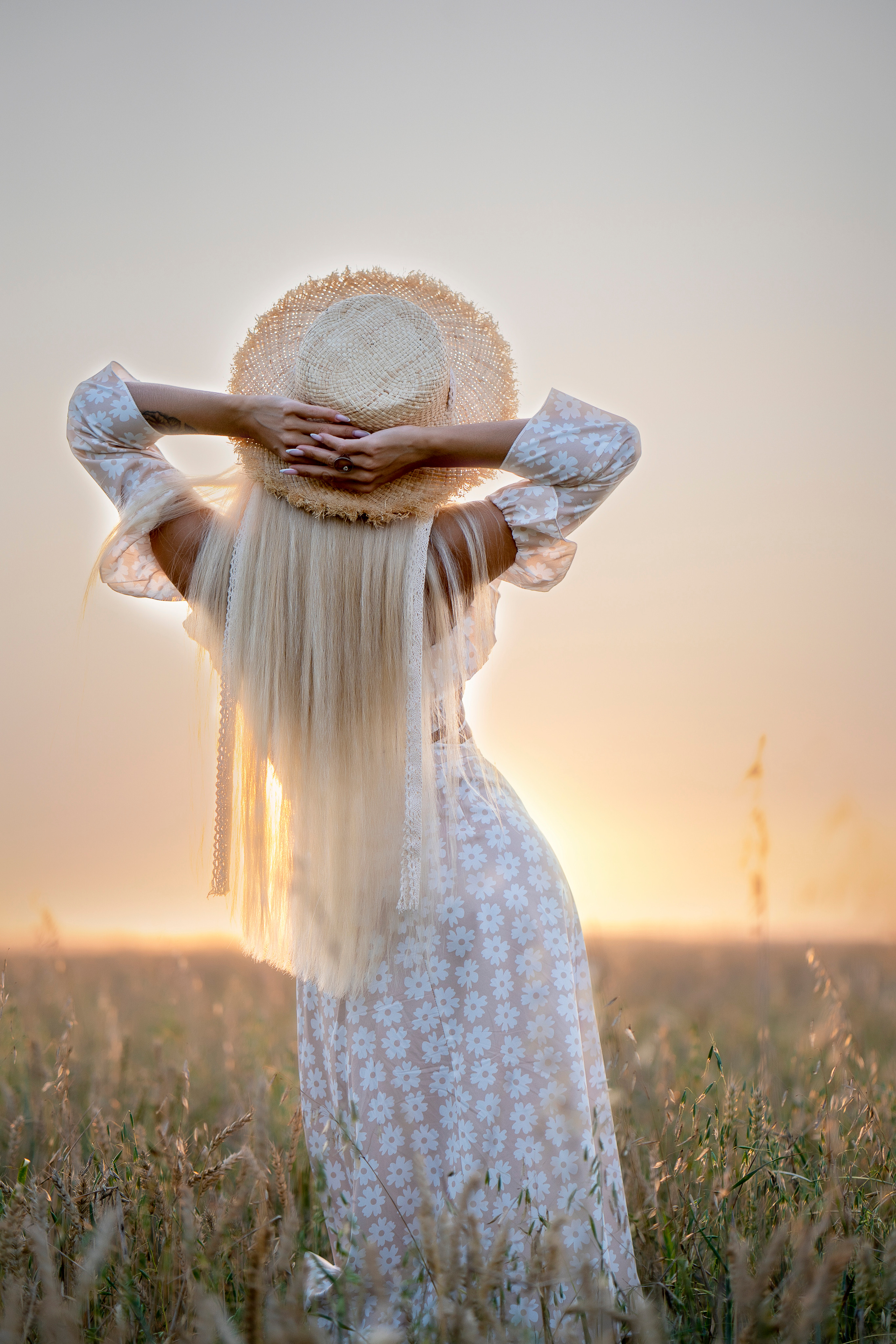 Пшеница. Главная