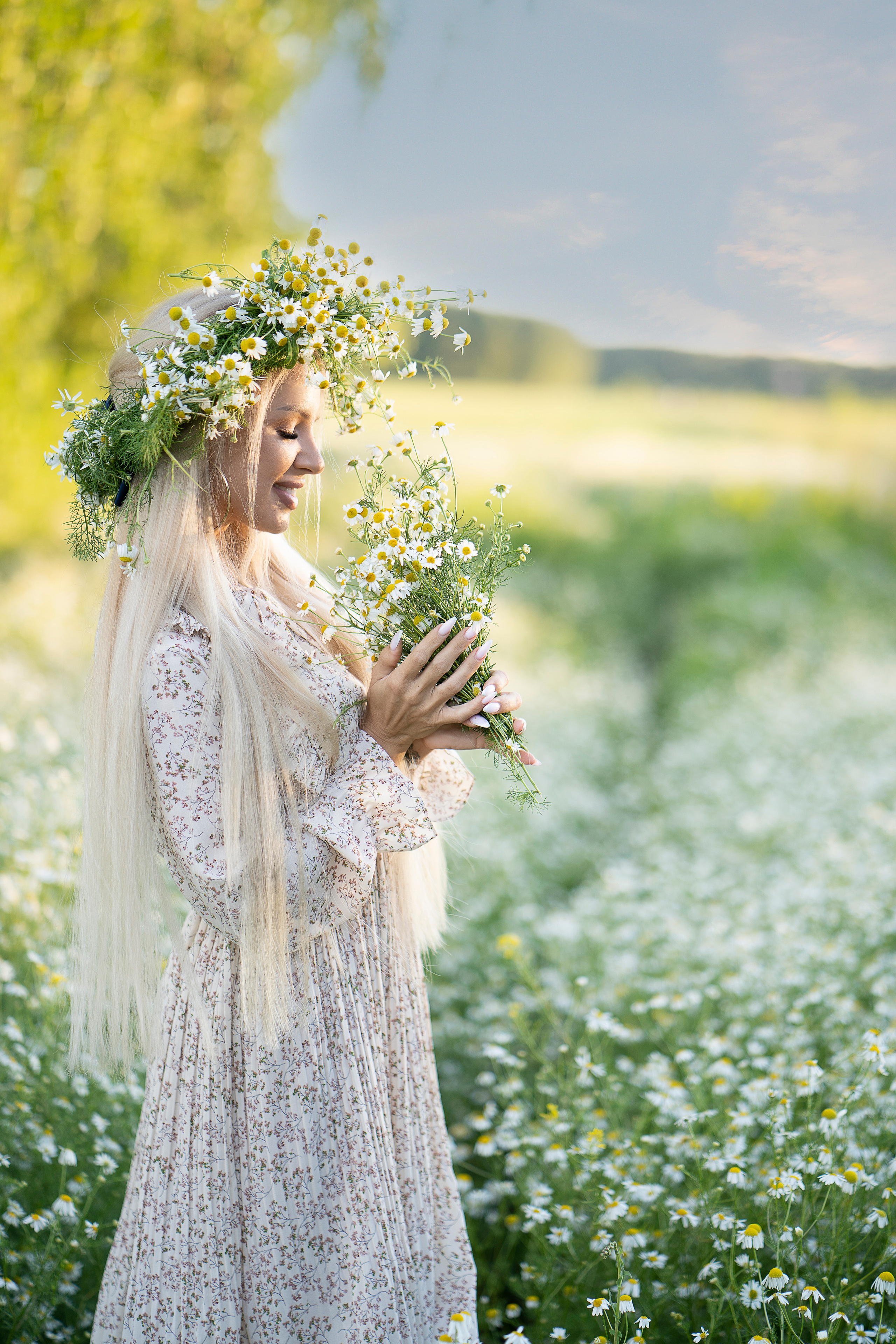 Ромашки. Главная