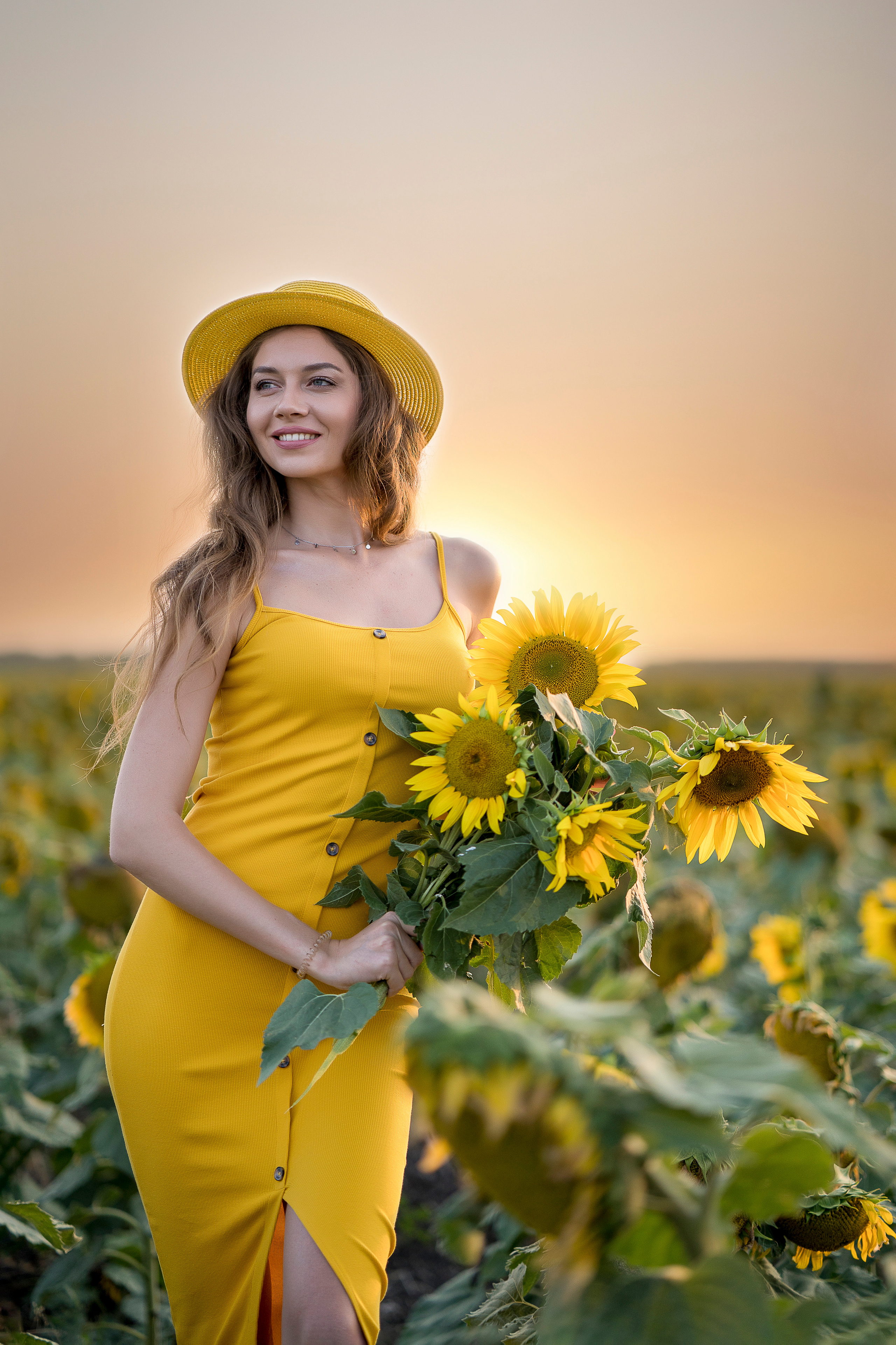 Подсолнухи. Главная