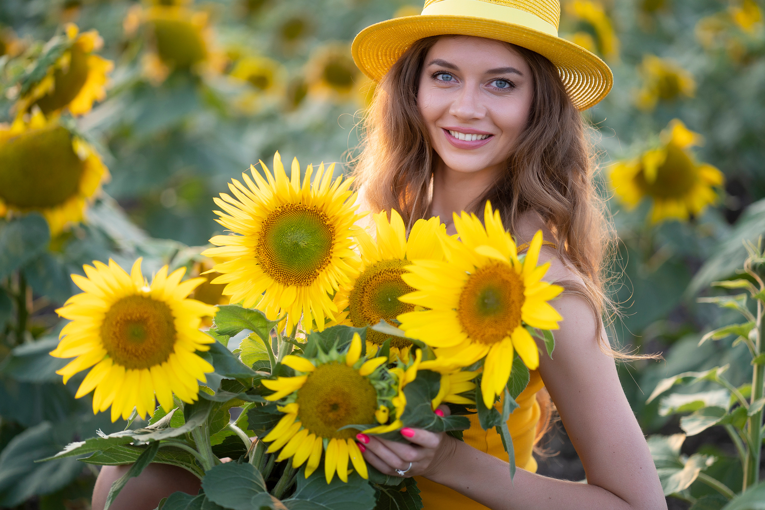 Подсолнухи. Главная
