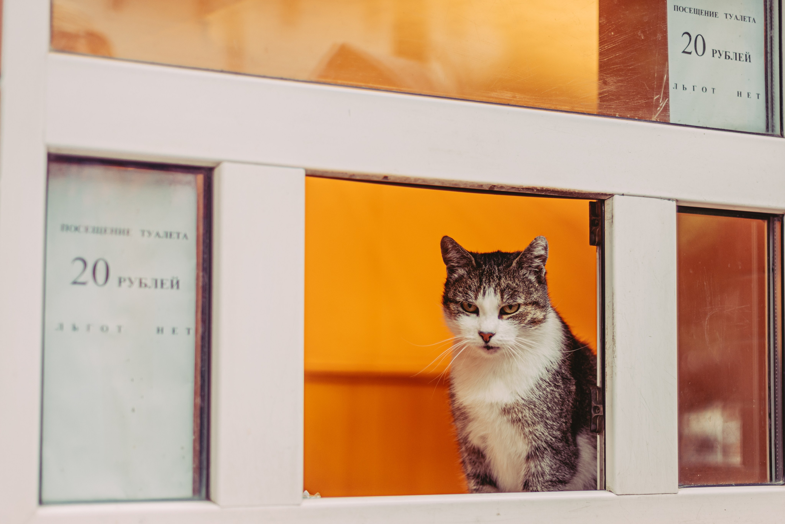 Калининград и его область: через объектив рекламного фотографа из Гуанчжо. Коммерческий и предметный фотограф в Гуанчжоу Коваленко Александр