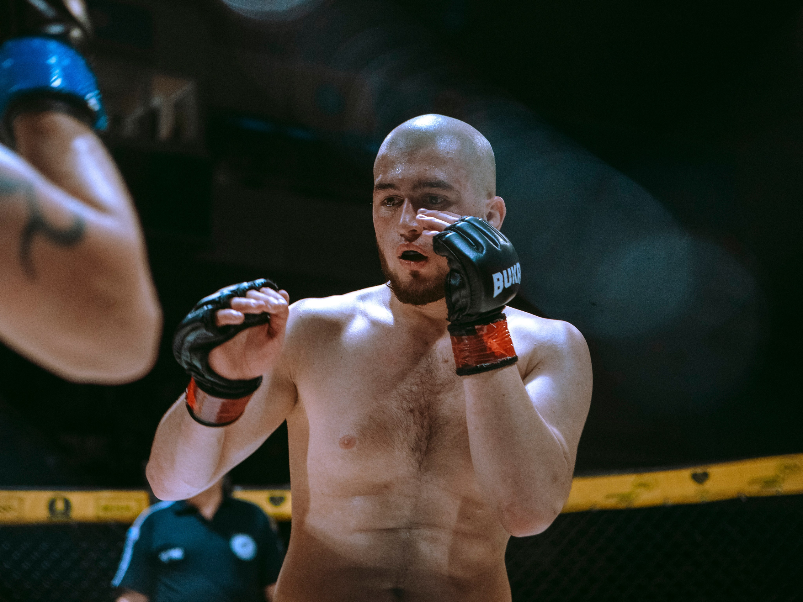 SFL 17 | Siberian Fighting League. Портретный фотограф в Москве Дарья Цезария