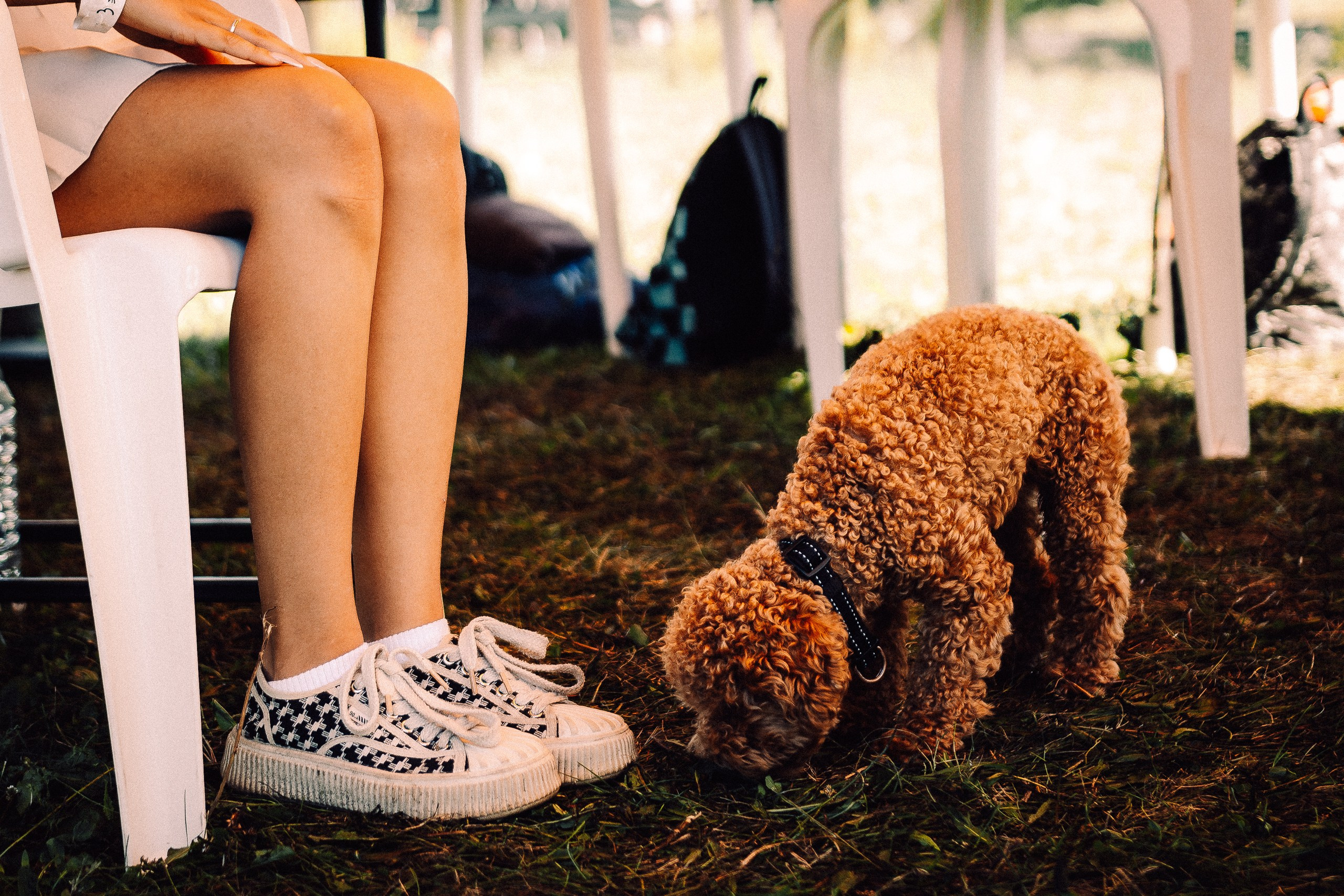 Благотворительный фестиваль Шевле. Валентин Гальетов — фотограф в Чебоксарах