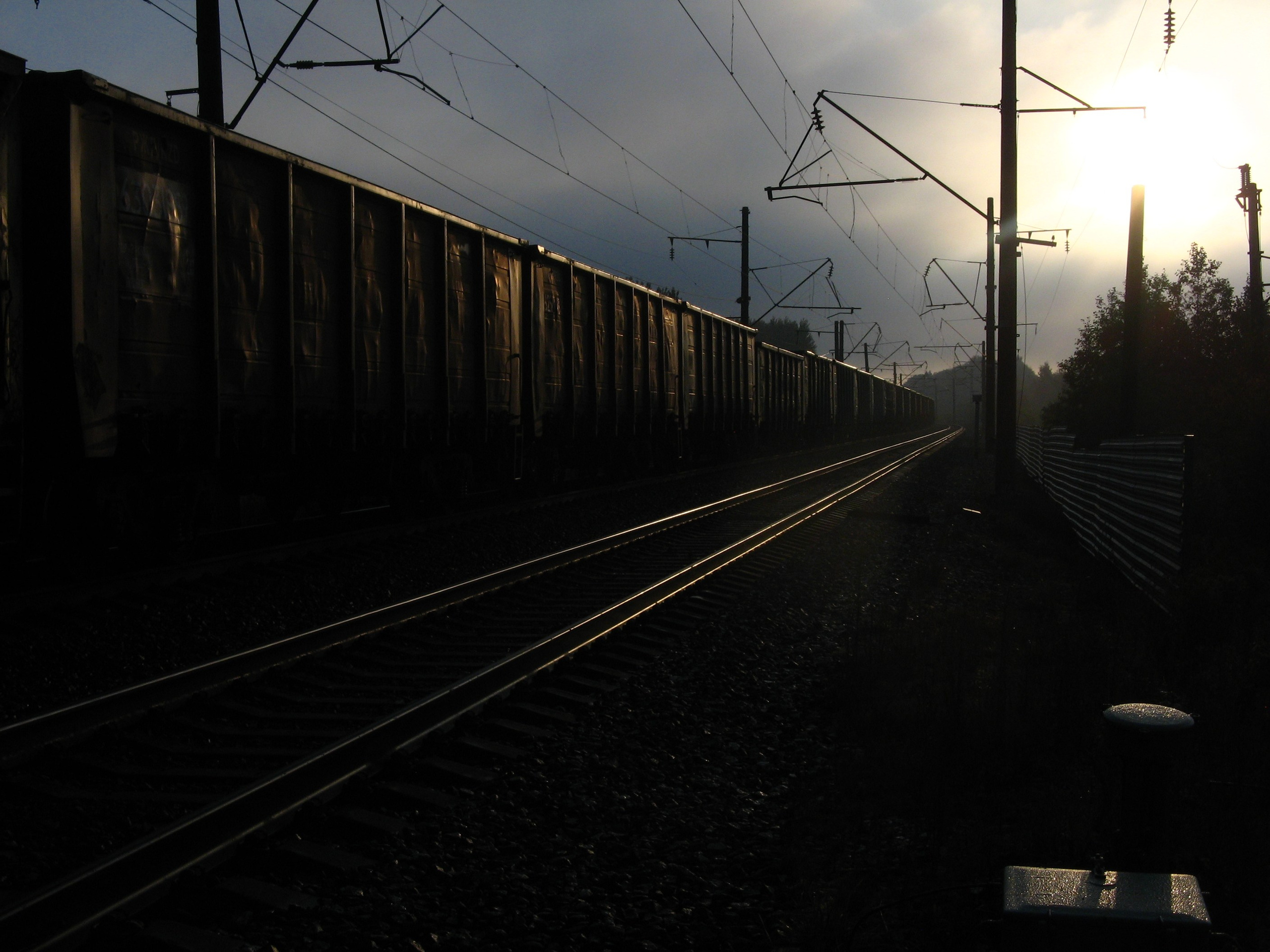 Август 2025. Den Mirov — Фотограф, Музыкант