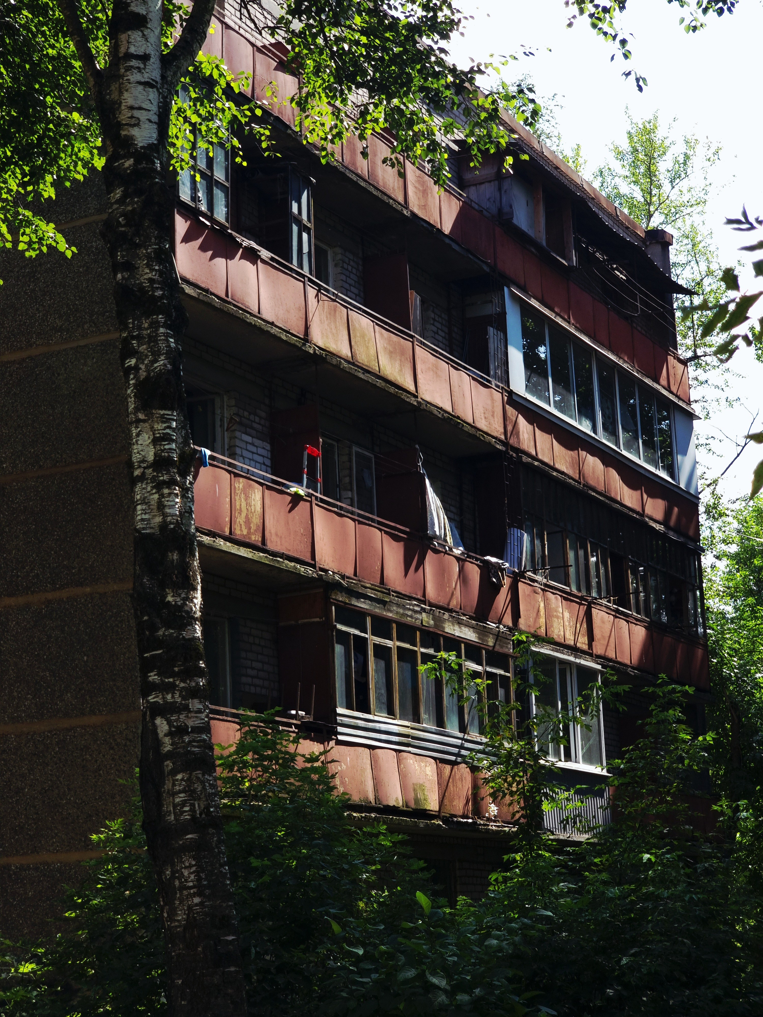 Июль 2025. Den Mirov — Фотограф, Музыкант