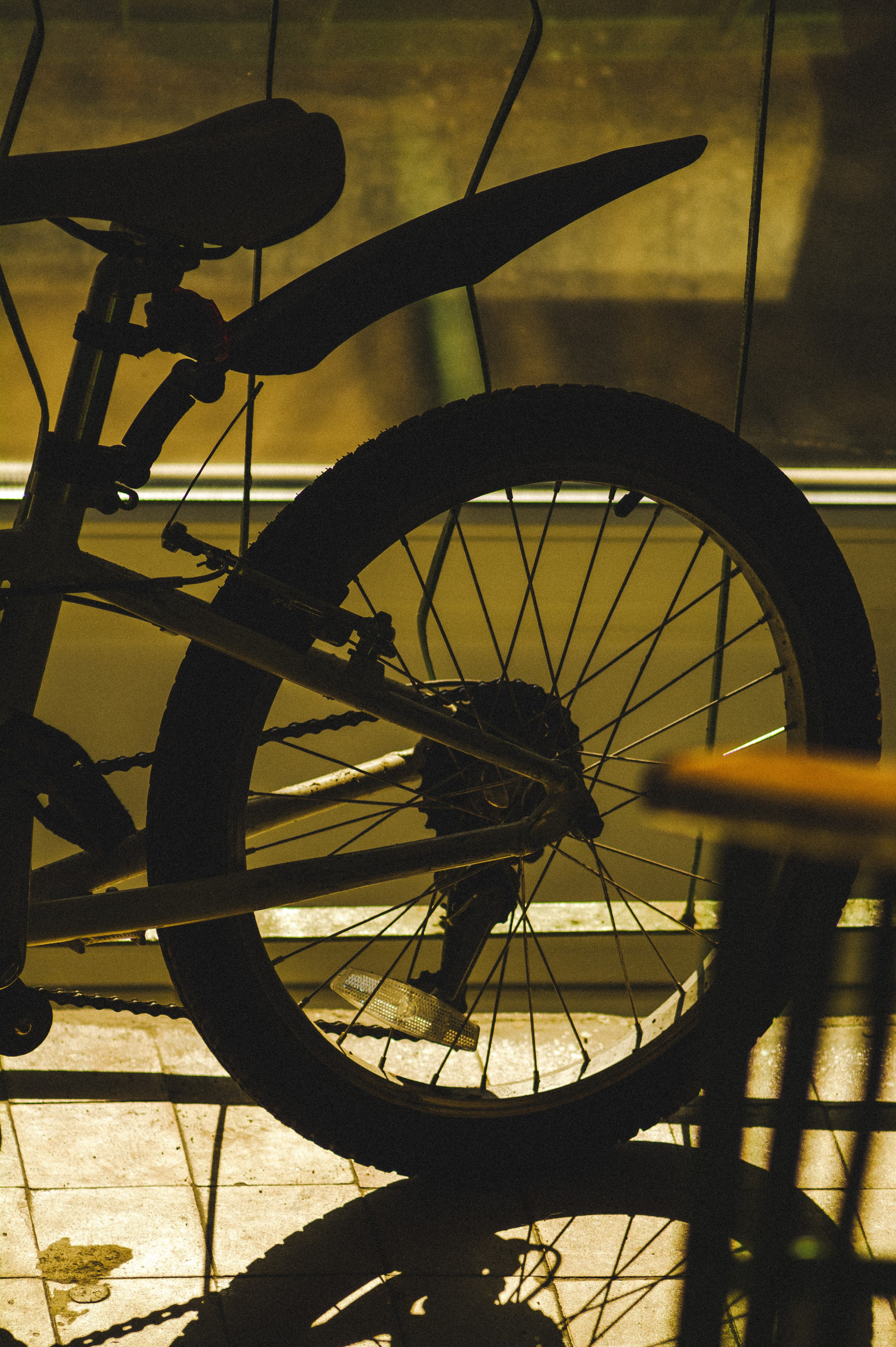 Favorite place. Den Mirov — Photographer, Musician