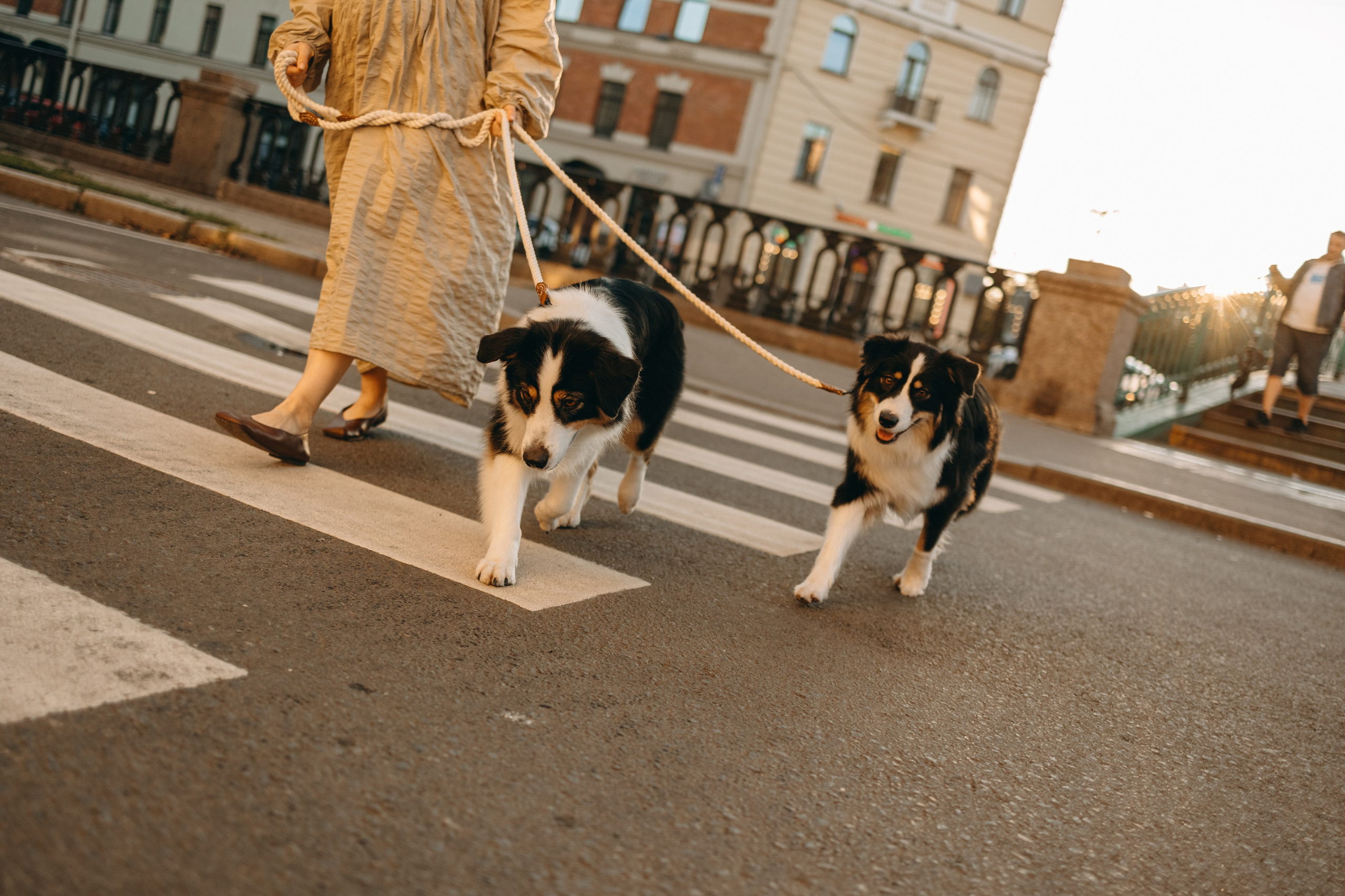 Катя и ее девочки. Фотограф — Анималист | Санкт-Петербург
