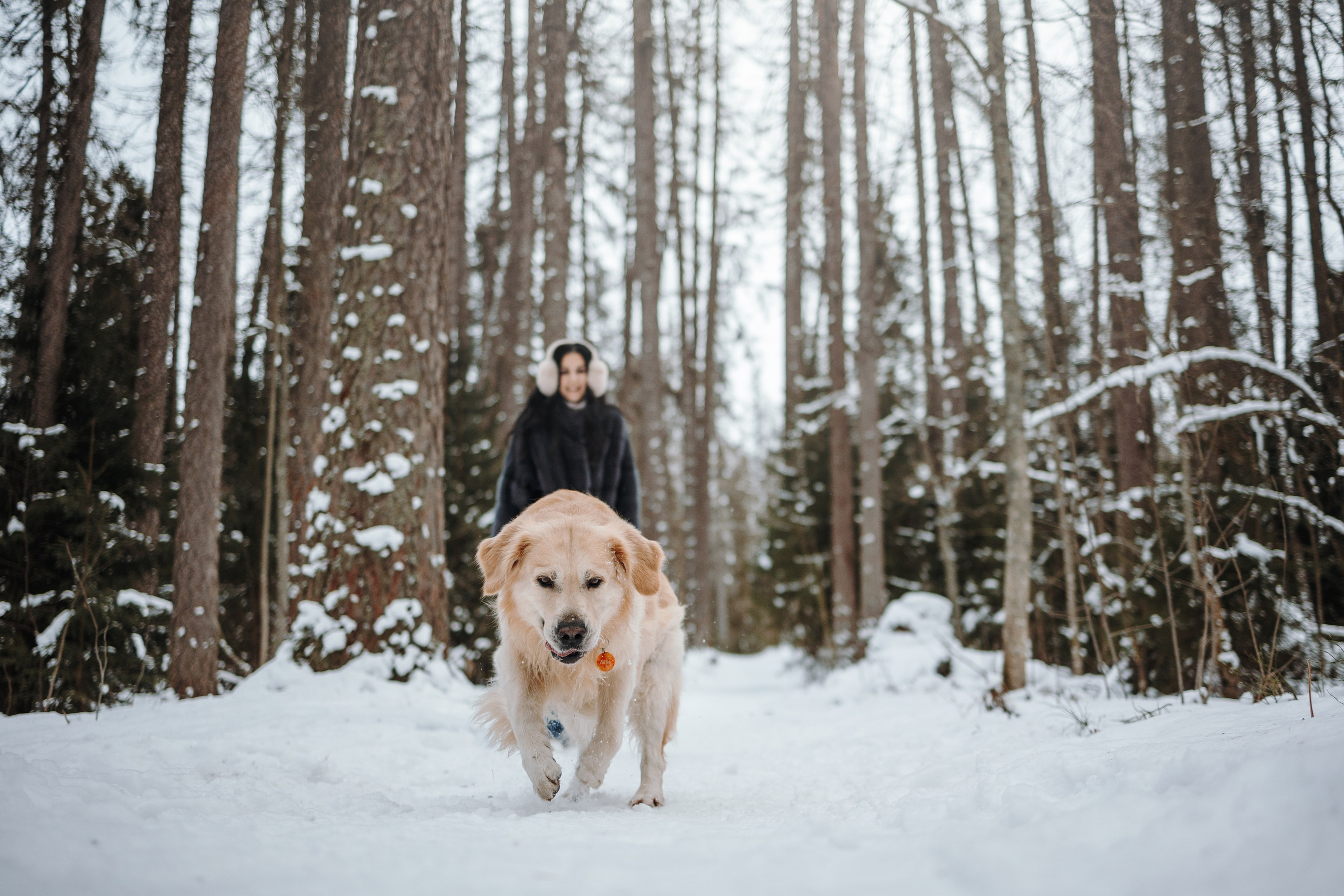Вика и Лёва. Фотограф — Анималист | Санкт-Петербург