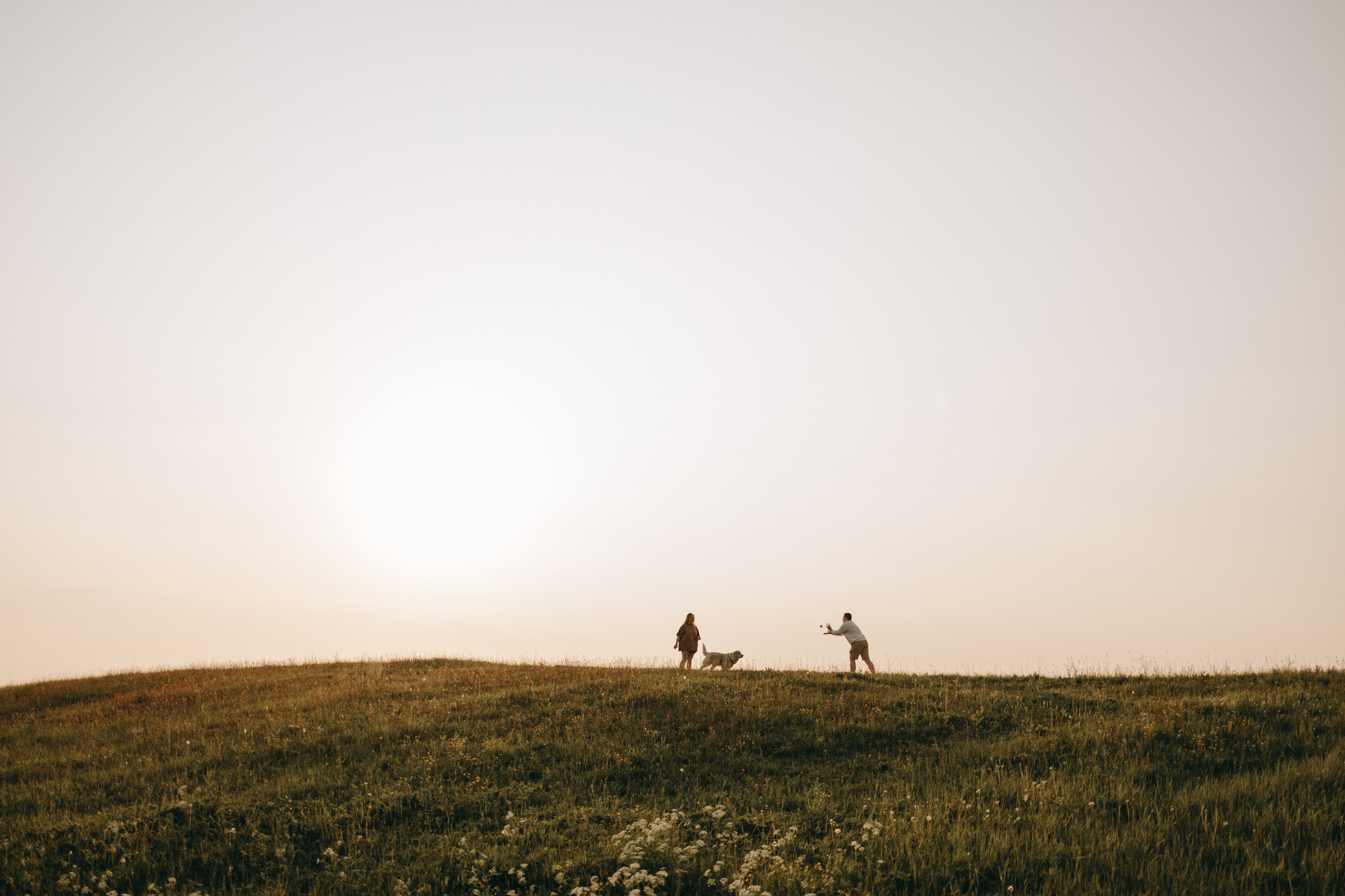 Милка и ребята. Фотограф — Анималист | Санкт-Петербург