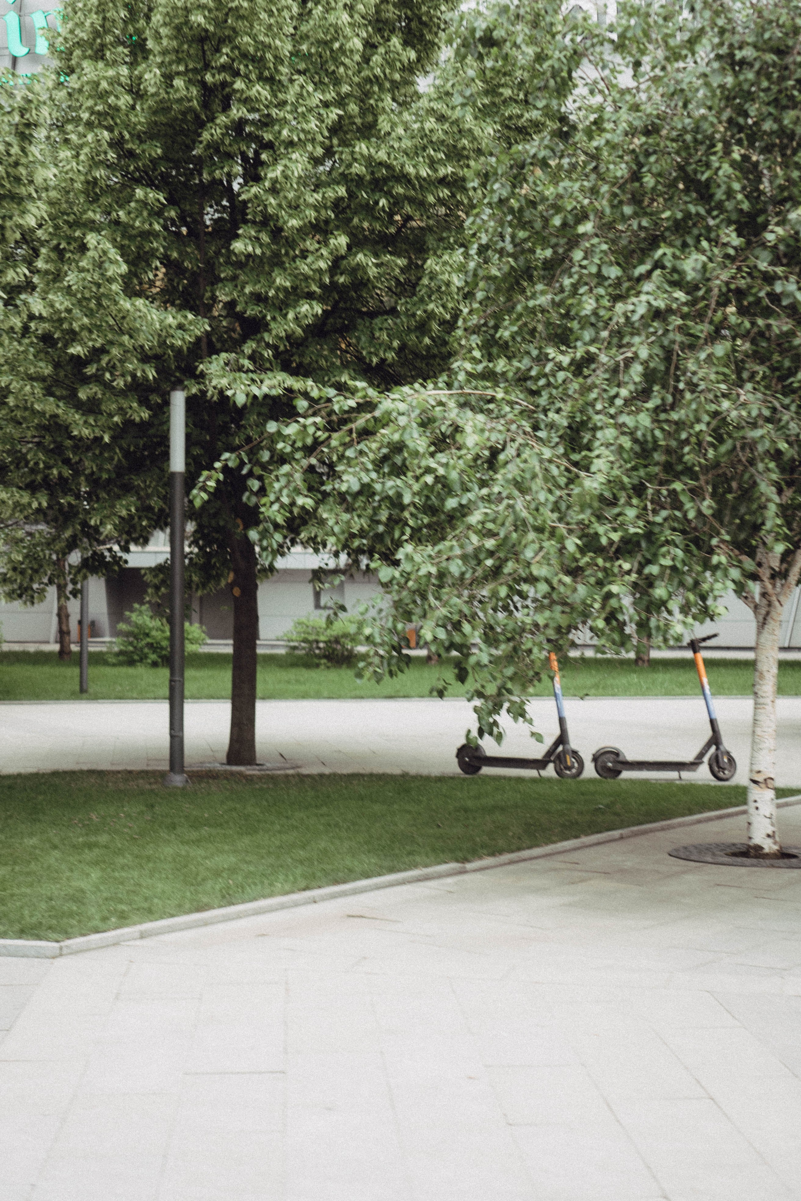 Кавказ. Профессиональный фотограф, Санкт-Петербург — Виктория Богомолова