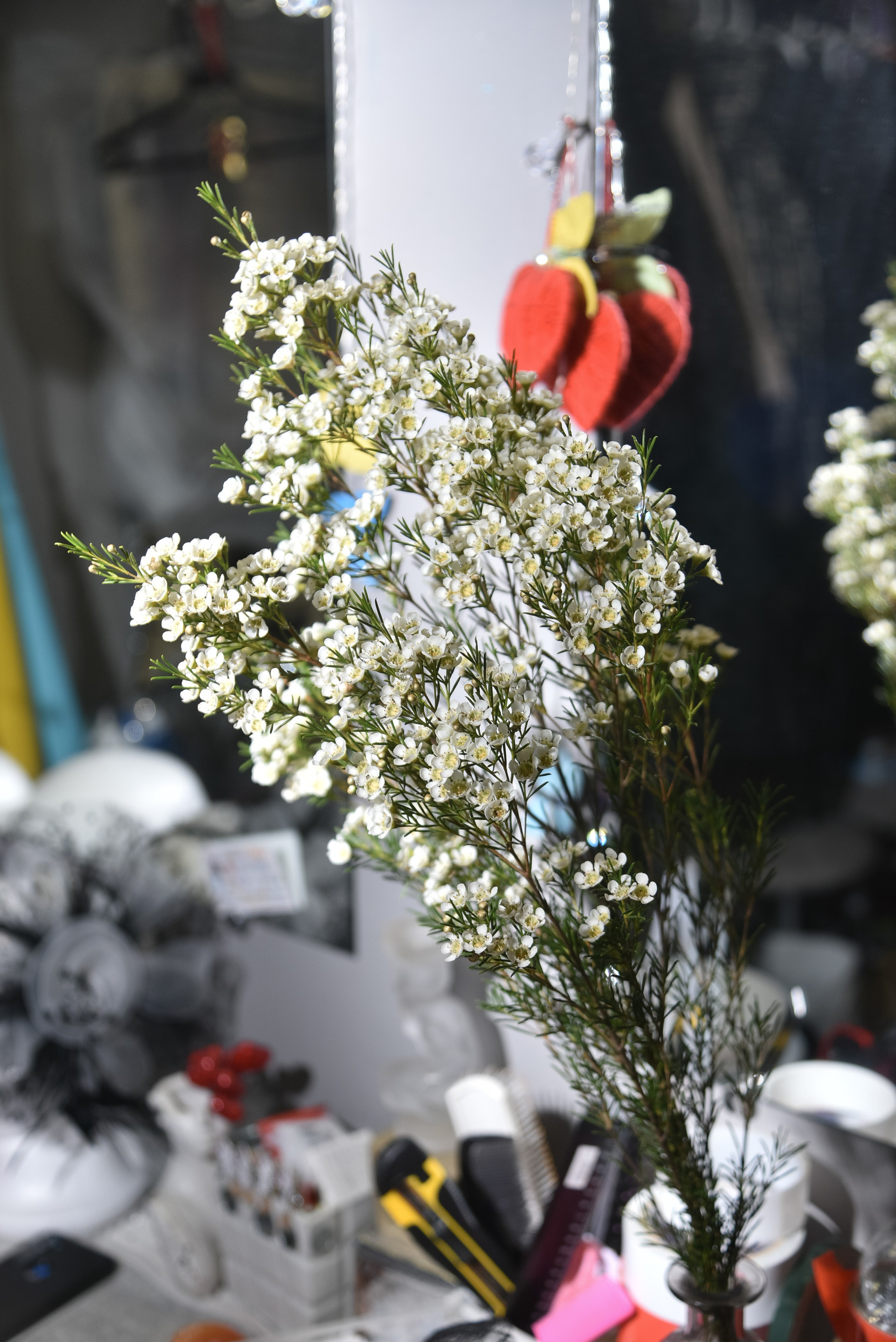 Birthday. Фотограф Олег Юршевич Солигорск Минск