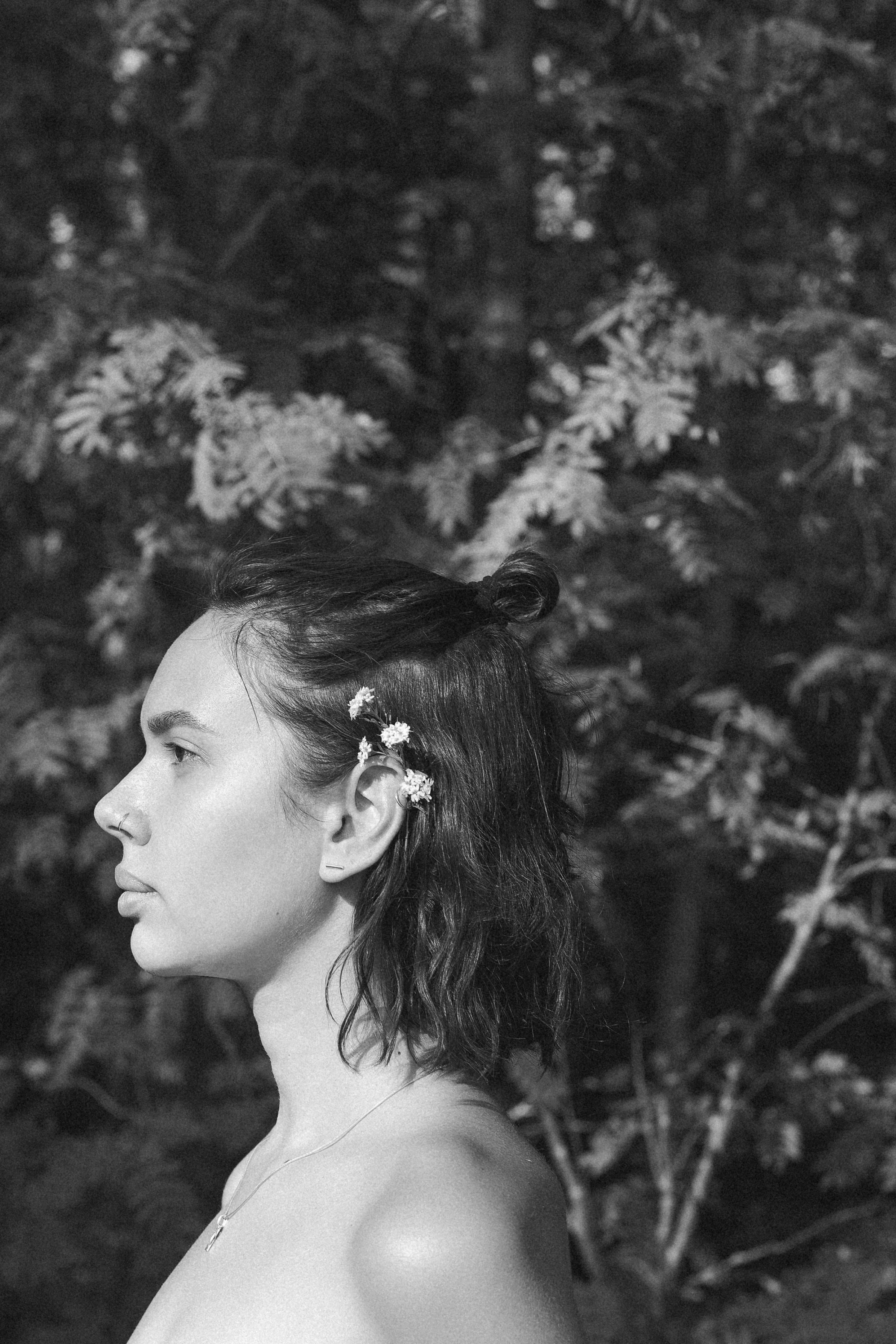 Прогулочные истории. Главная