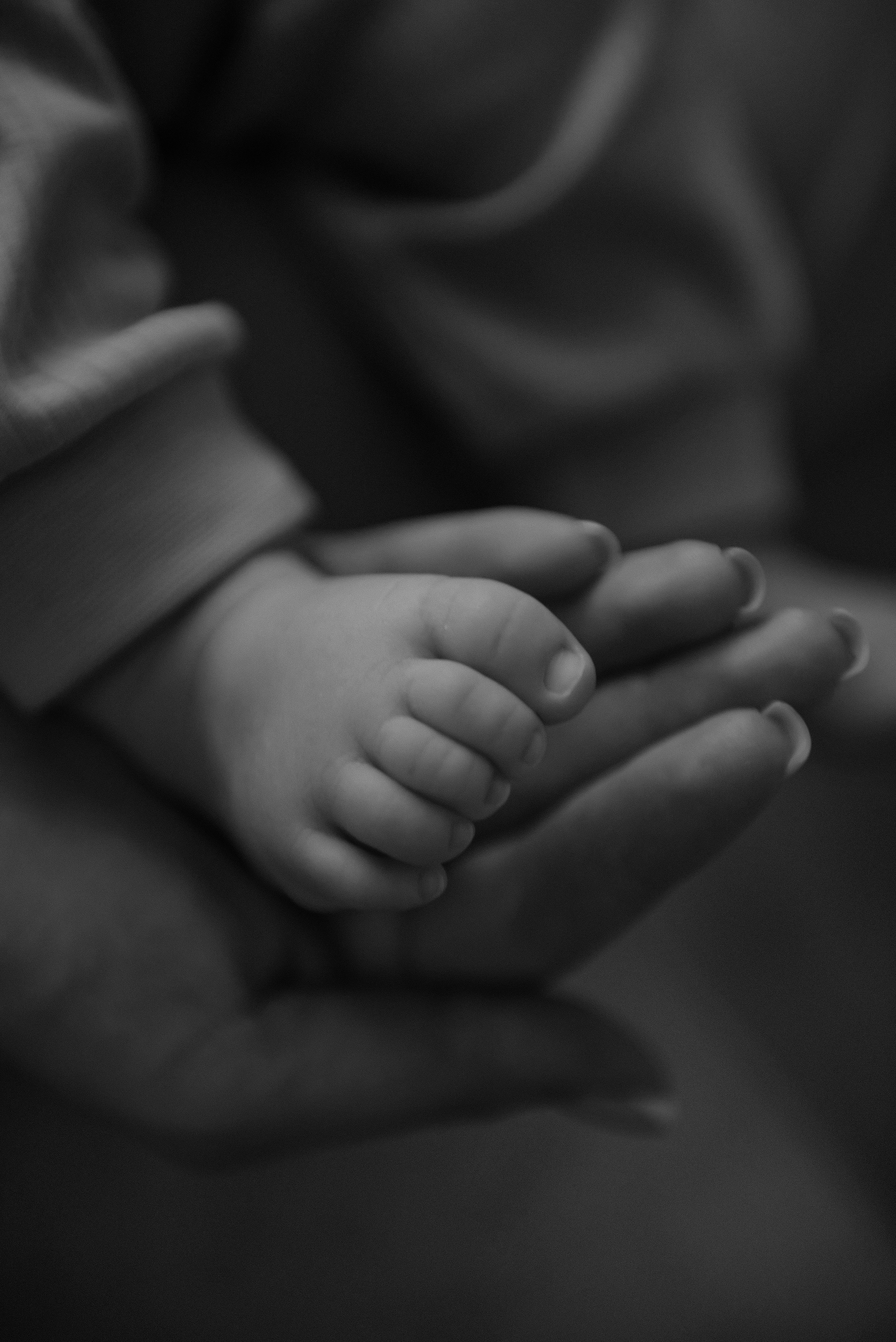 Катя. Свадебный, портретный, фотограф беременности в Нижнем Новгороде Алина Зиновьева