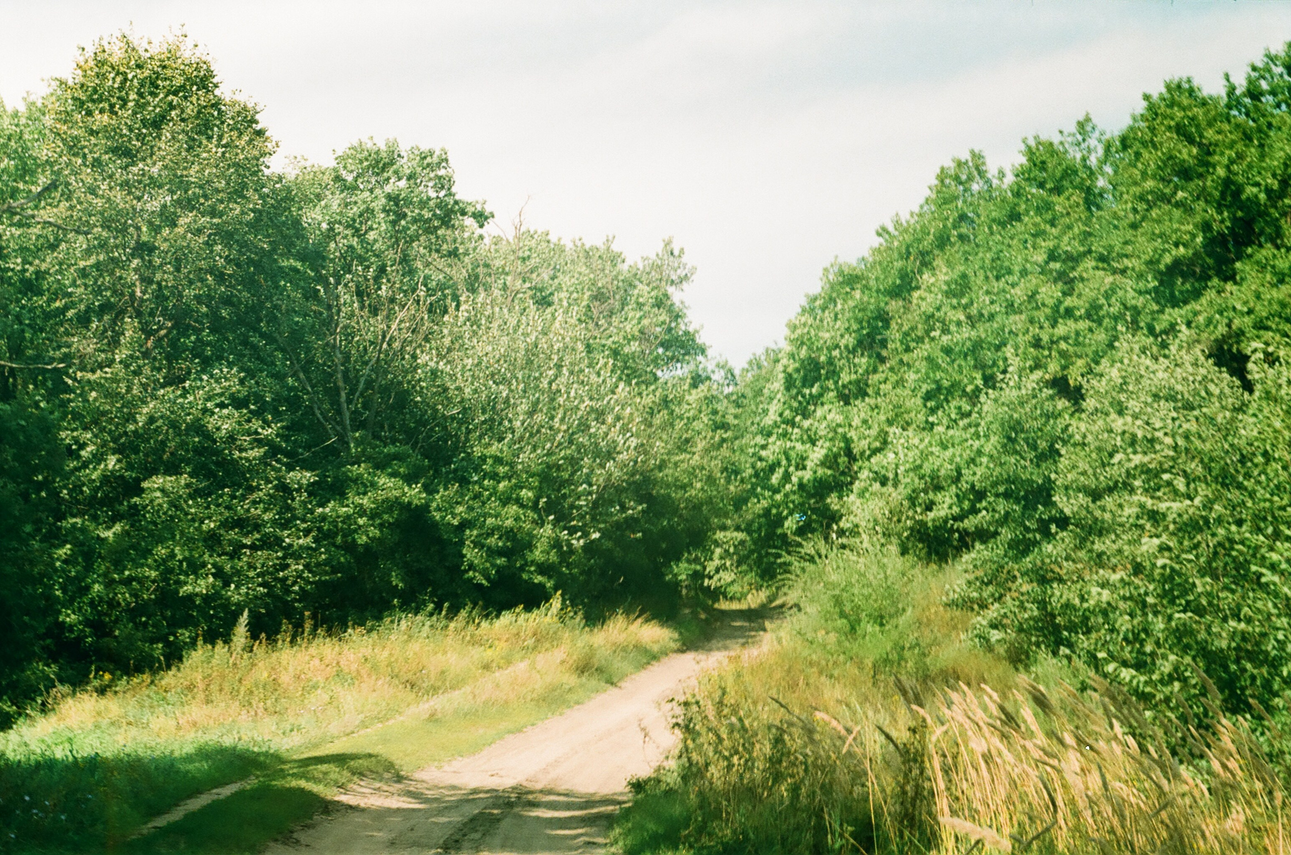Пленка. Фотограф в Москве Наталья Новикова