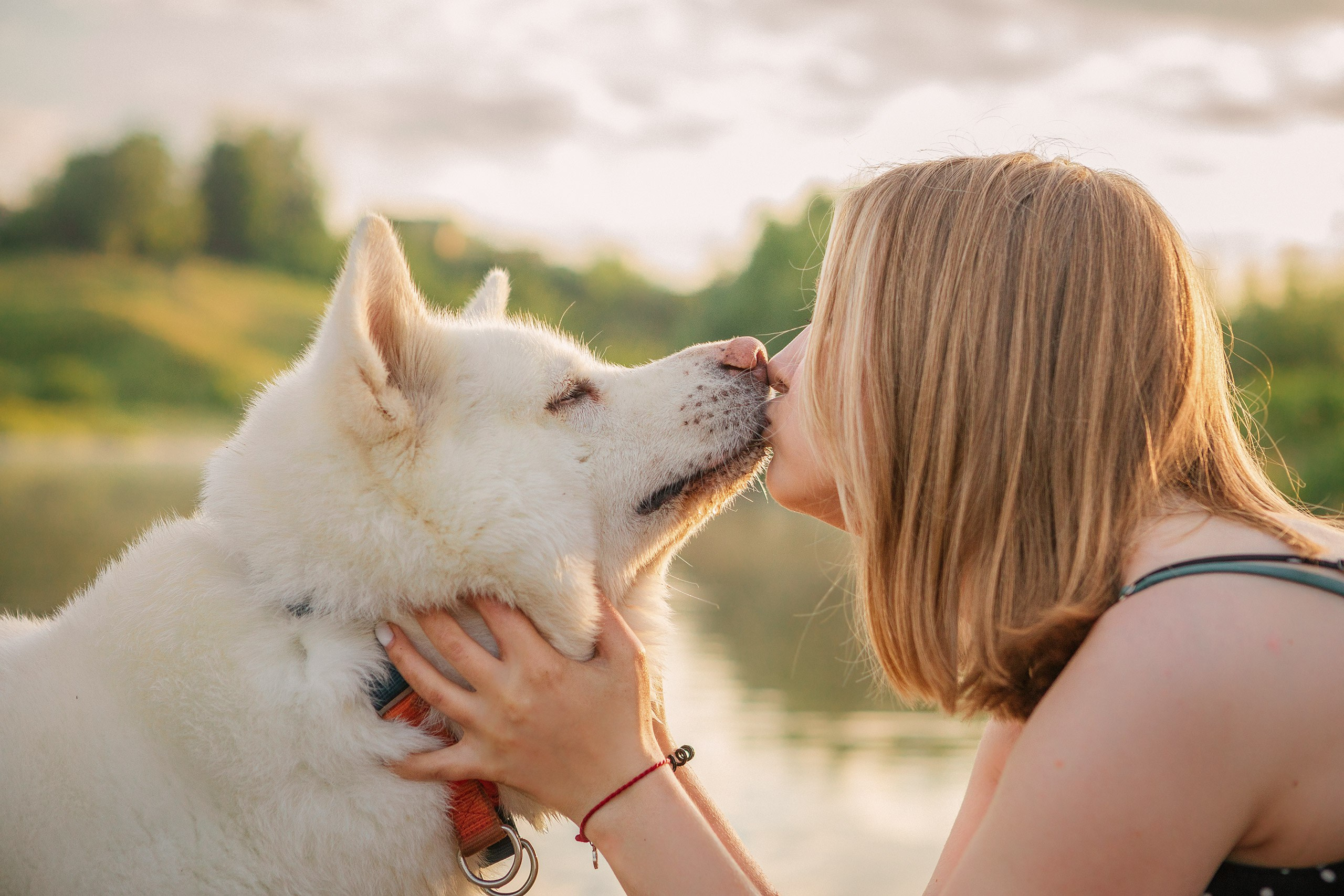 Таня и команда на рассвете. Фотограф анималист Кузнецова Анна Нижний Новгород