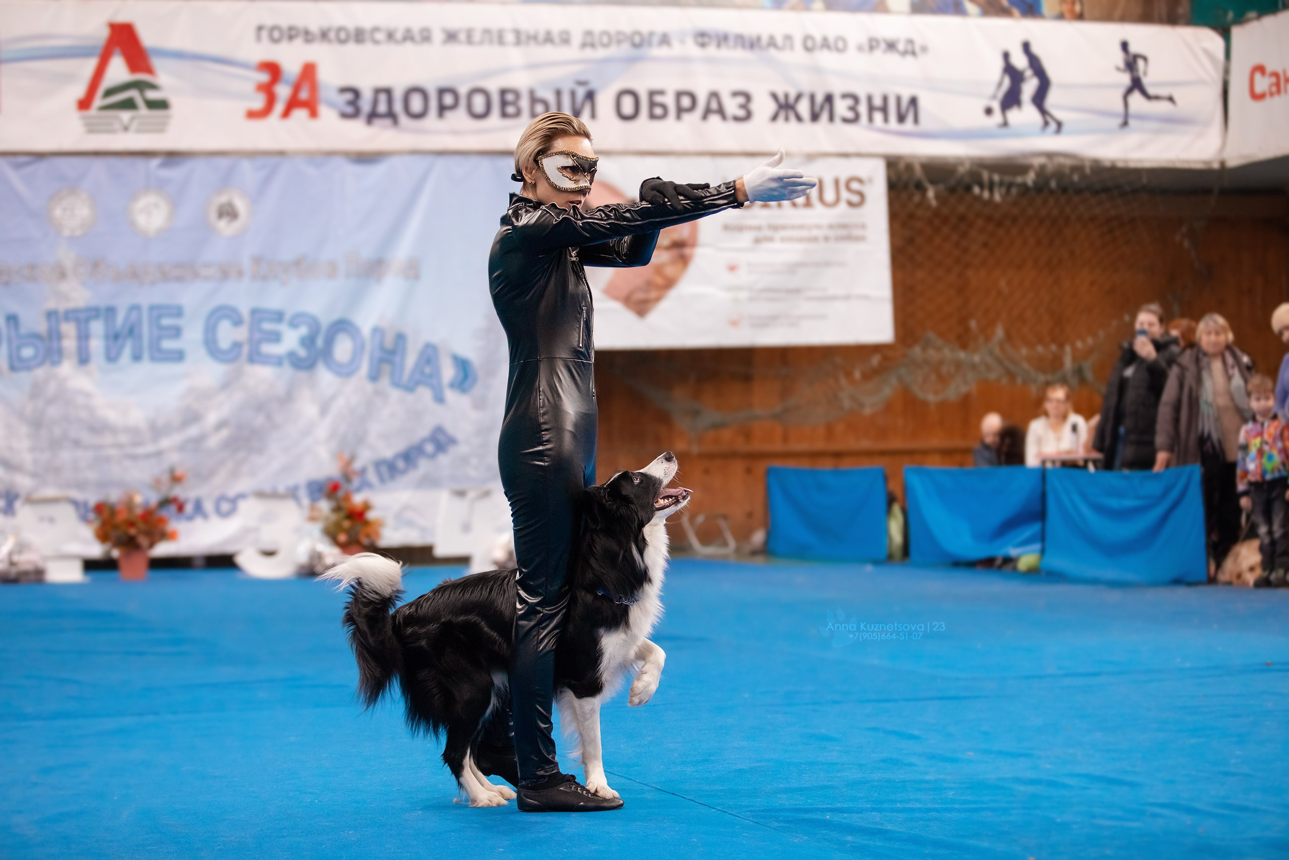 В ринге. Фотограф анималист Кузнецова Анна Нижний Новгород