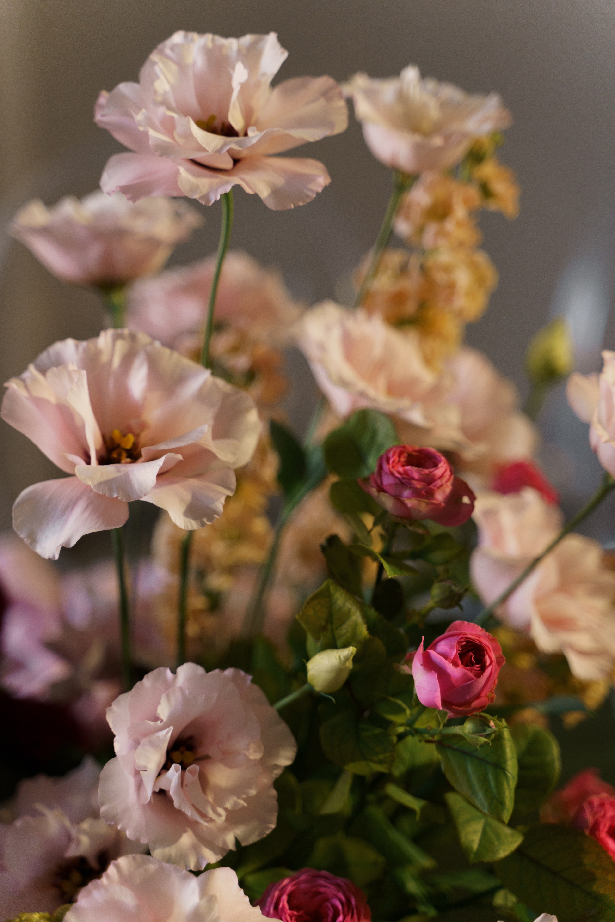 BELOVE. Свадебный фотограф Корощенко Екатерина