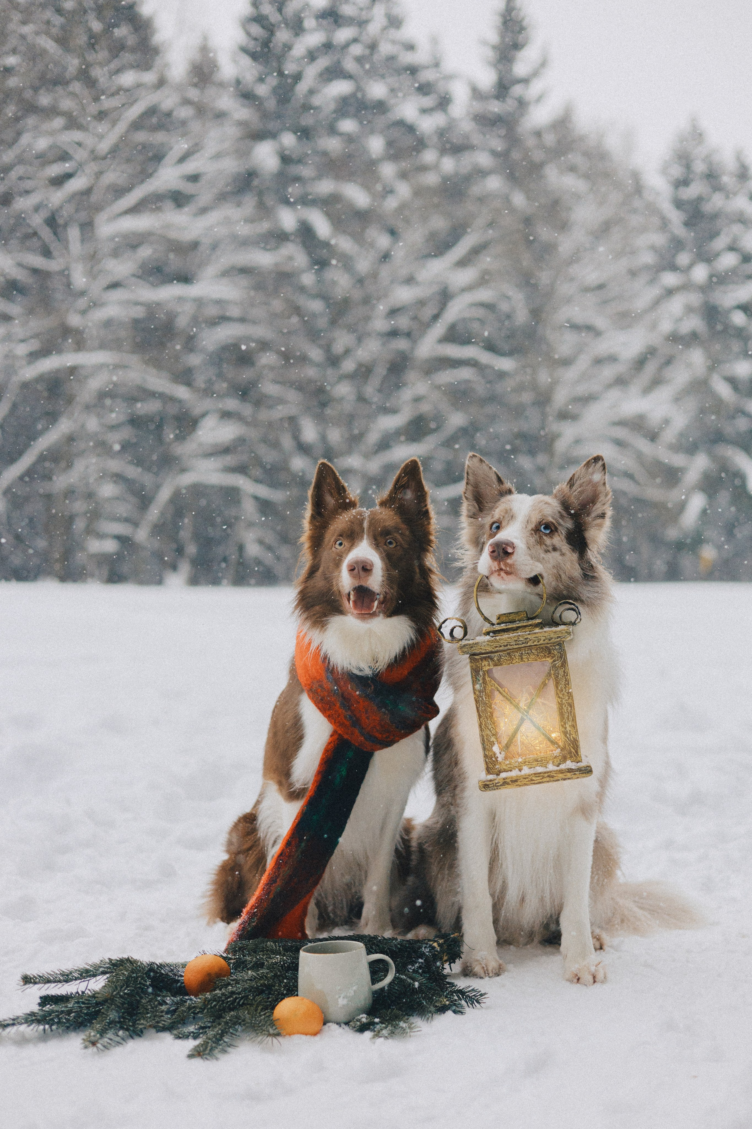Настя и Ваня. Фотограф Анна Луценко Москва