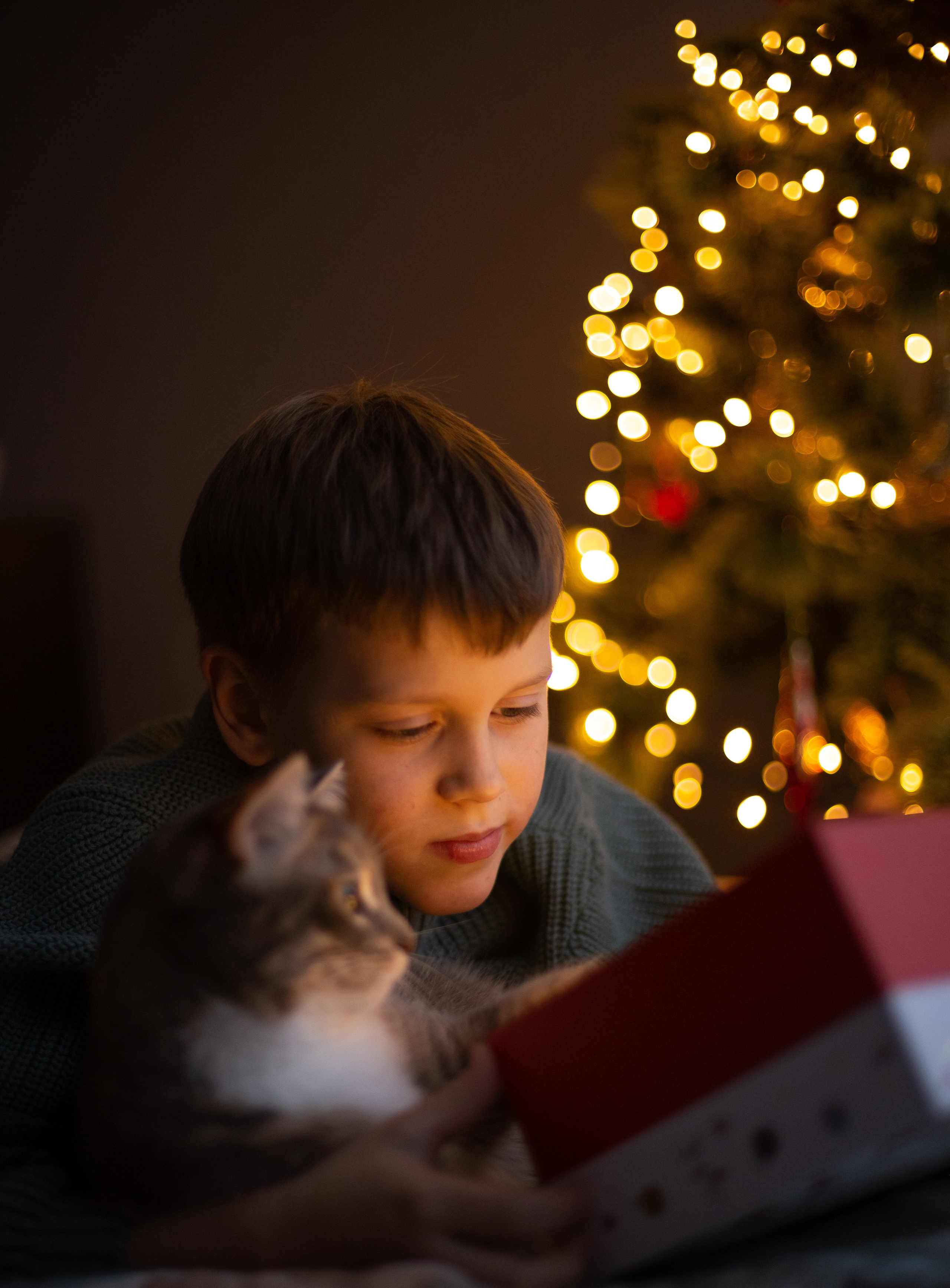 Стоимость и условия съемки. Семейный и детский фотограф в Минске Владыко Татьяна