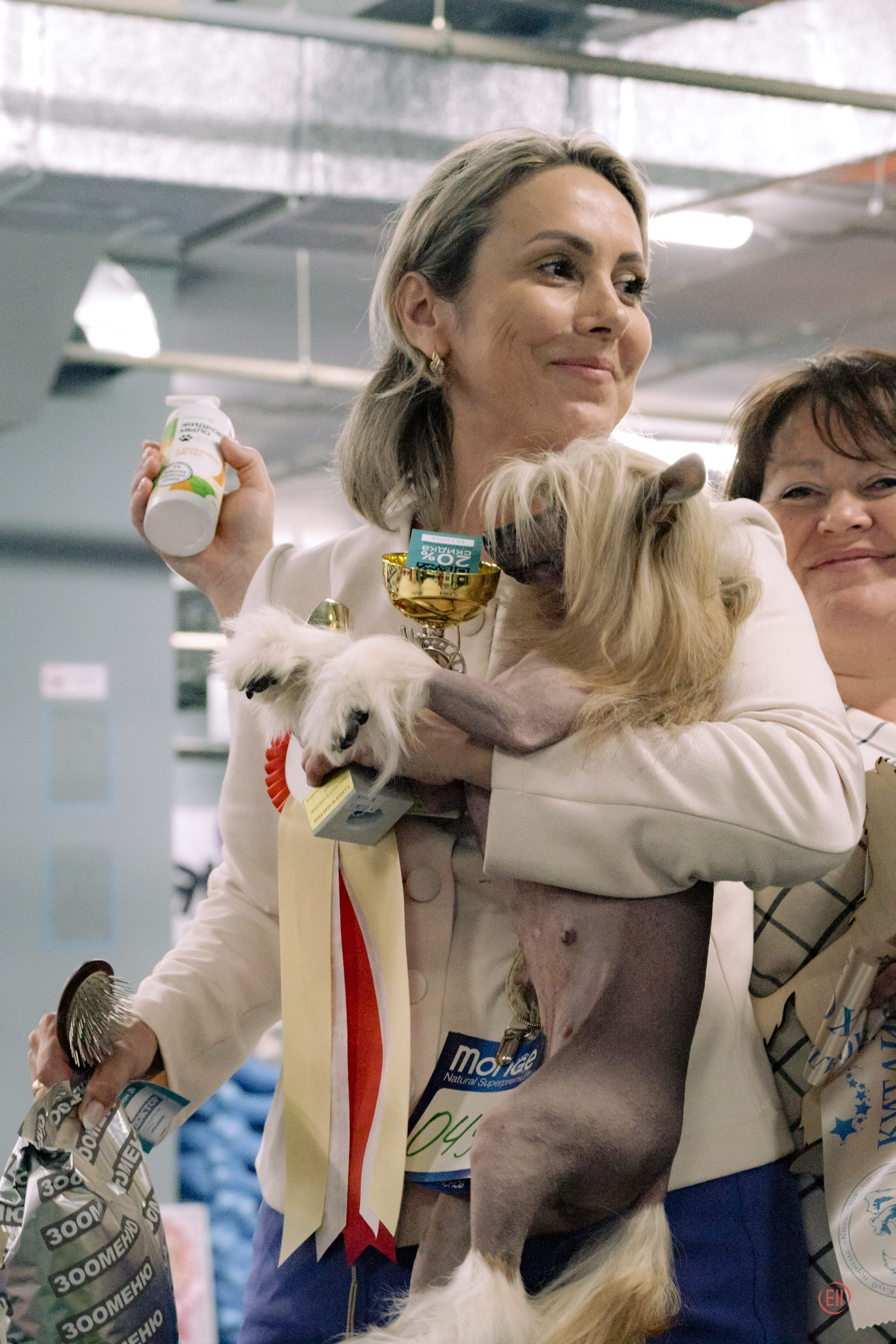 Национальная выставка китайских хохлатых собак 2023. Питомник китайских хохлатых собак Poale Ell: купить щенка