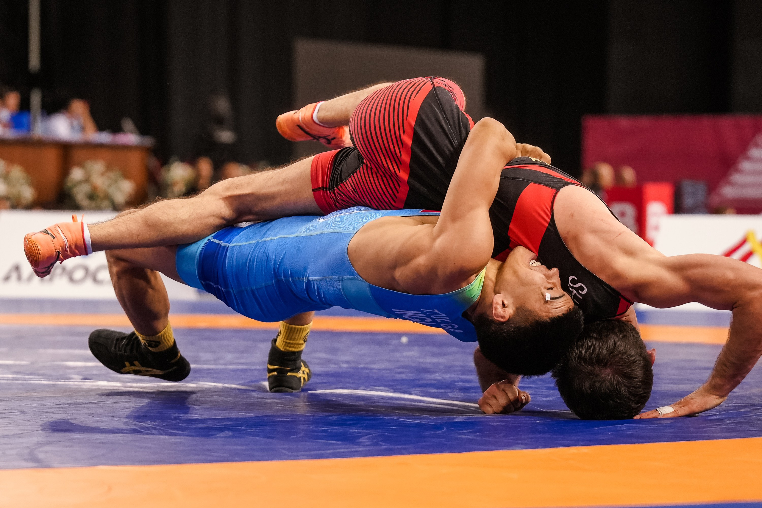 Кубок Ивана Ярыгина 2024 фото / Ivan Yarygin Cup 2024 photos. Фотограф Анна Герман. Красноярск