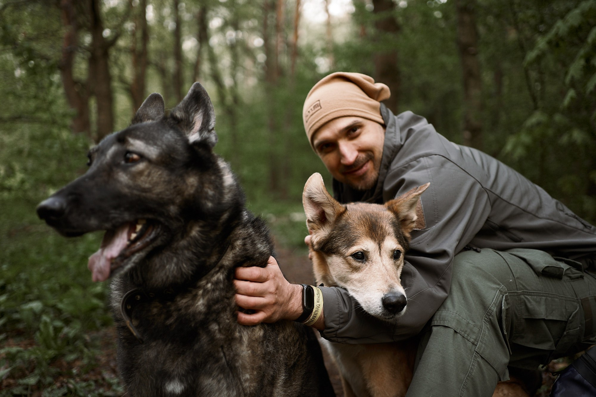 Дима, Рыжий и Воля. Фотограф анималист Москва Дарья