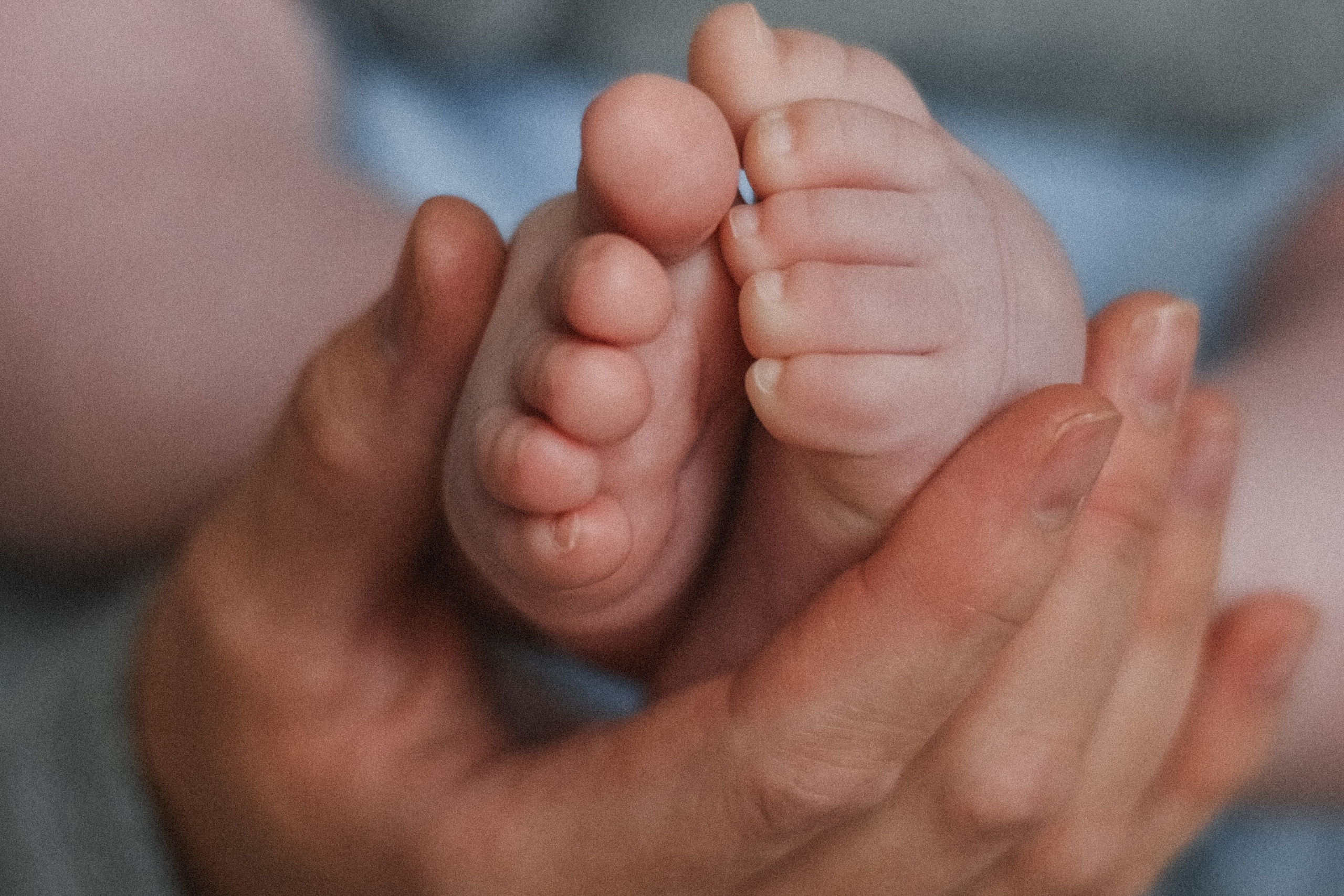 Мама+малыши в студии. Alenasokolowa.ru