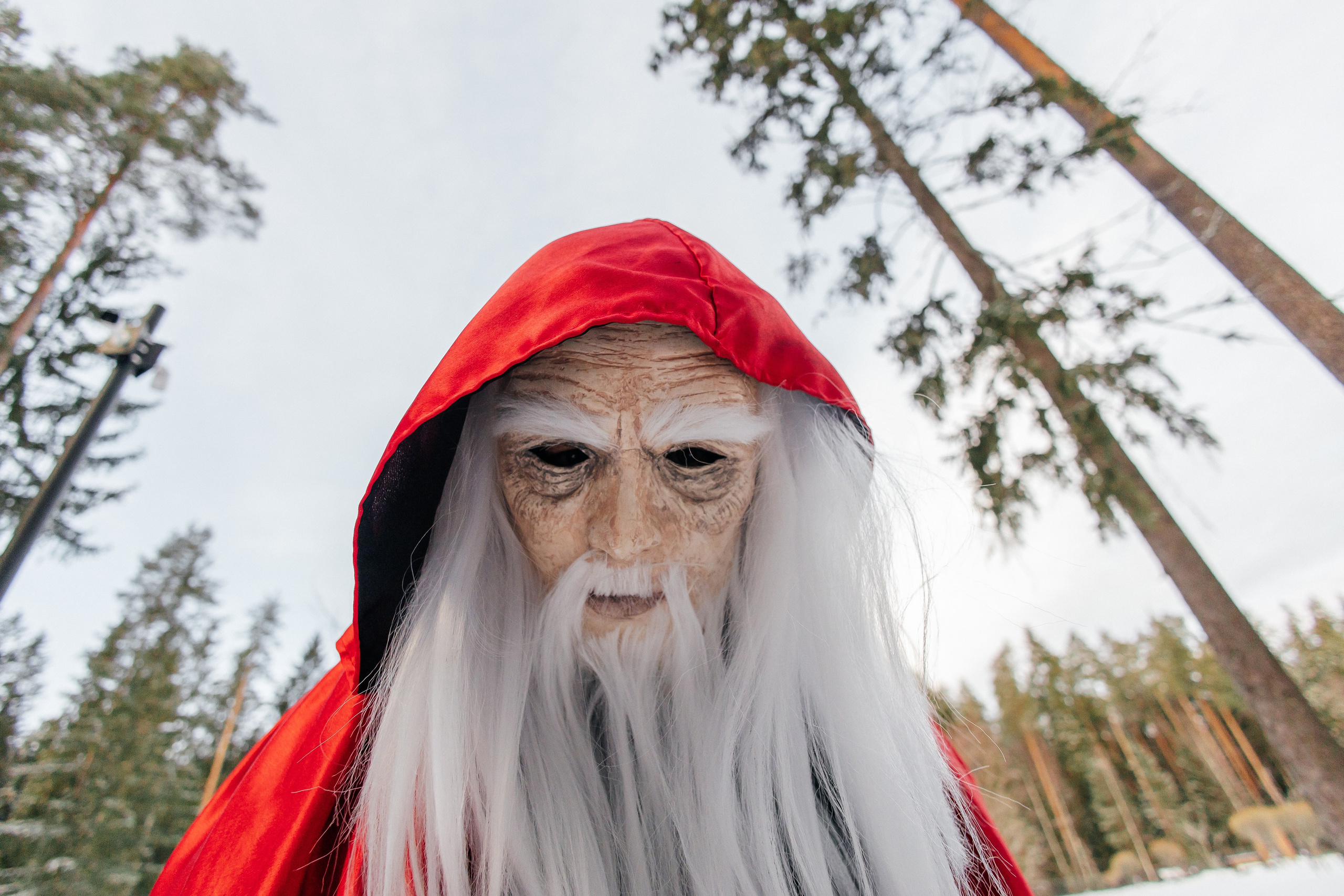 Зимний корпоратив в Царство Королевство. Фотограф в Санкт-Петербурге Виктория Безверхая
