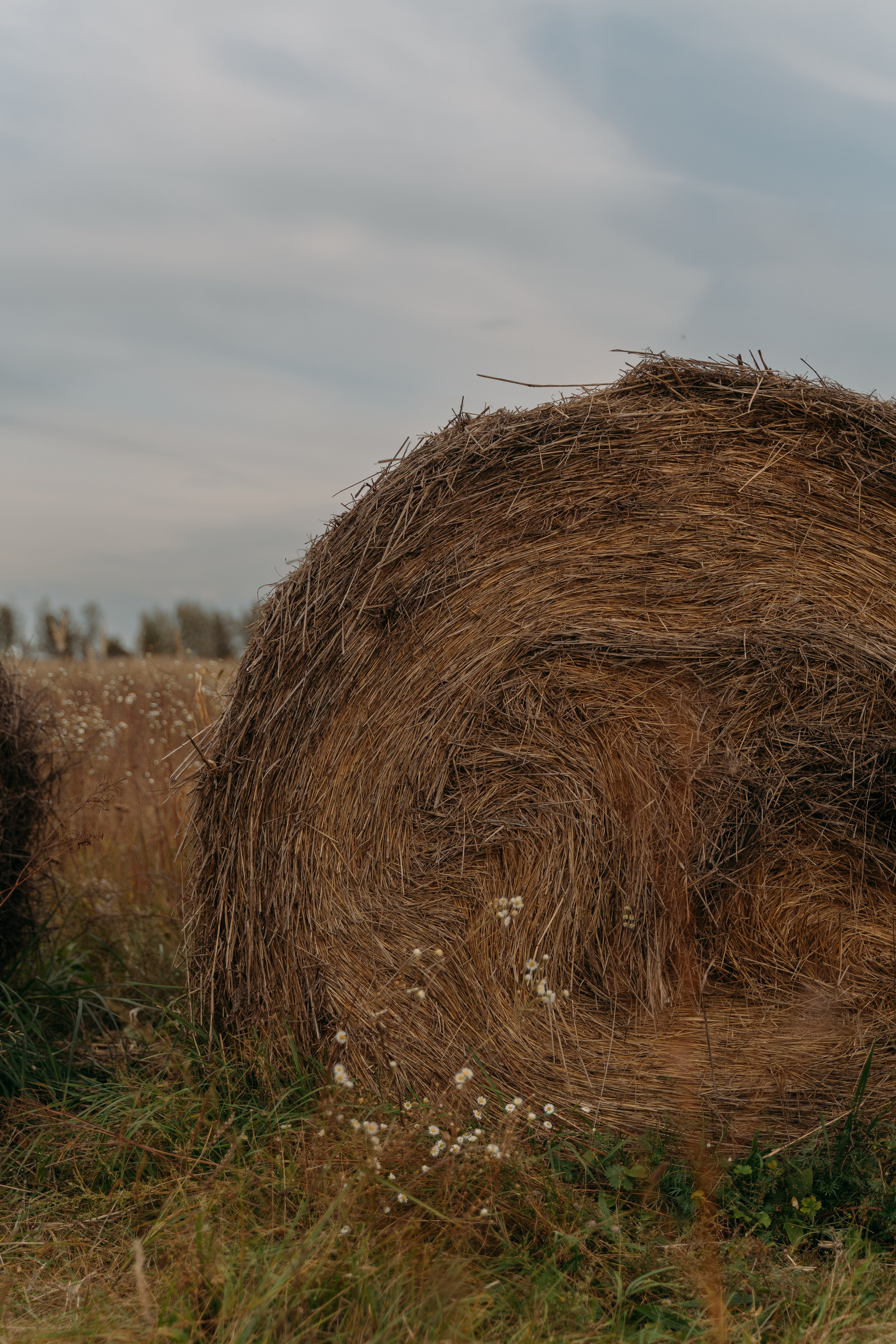 Катерина. FotoTanya. Раменское/Жуковский/Бронницы