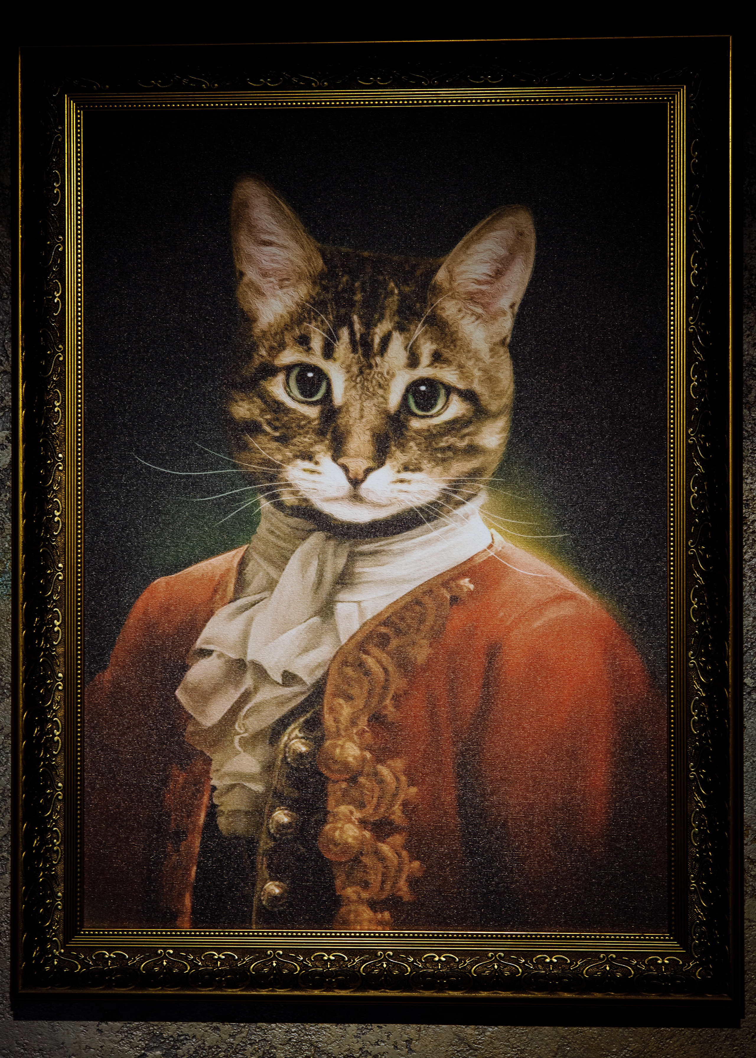 съемка для Cats & Wine