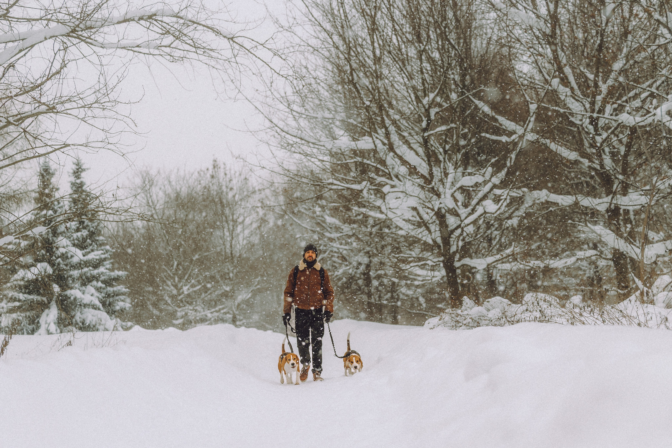Роман, Портер и Коррес