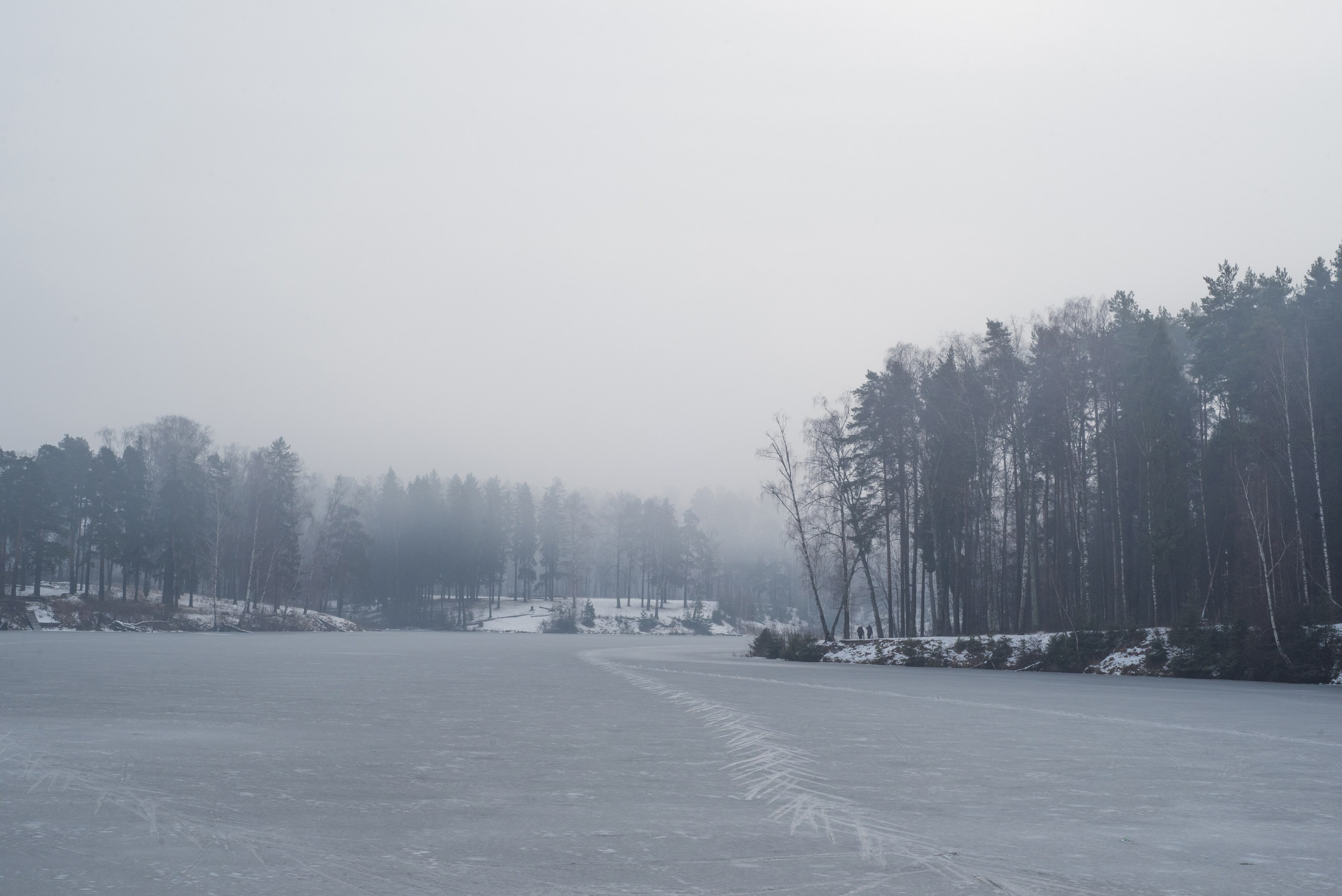 Фотография парка 1905 года в Иванове