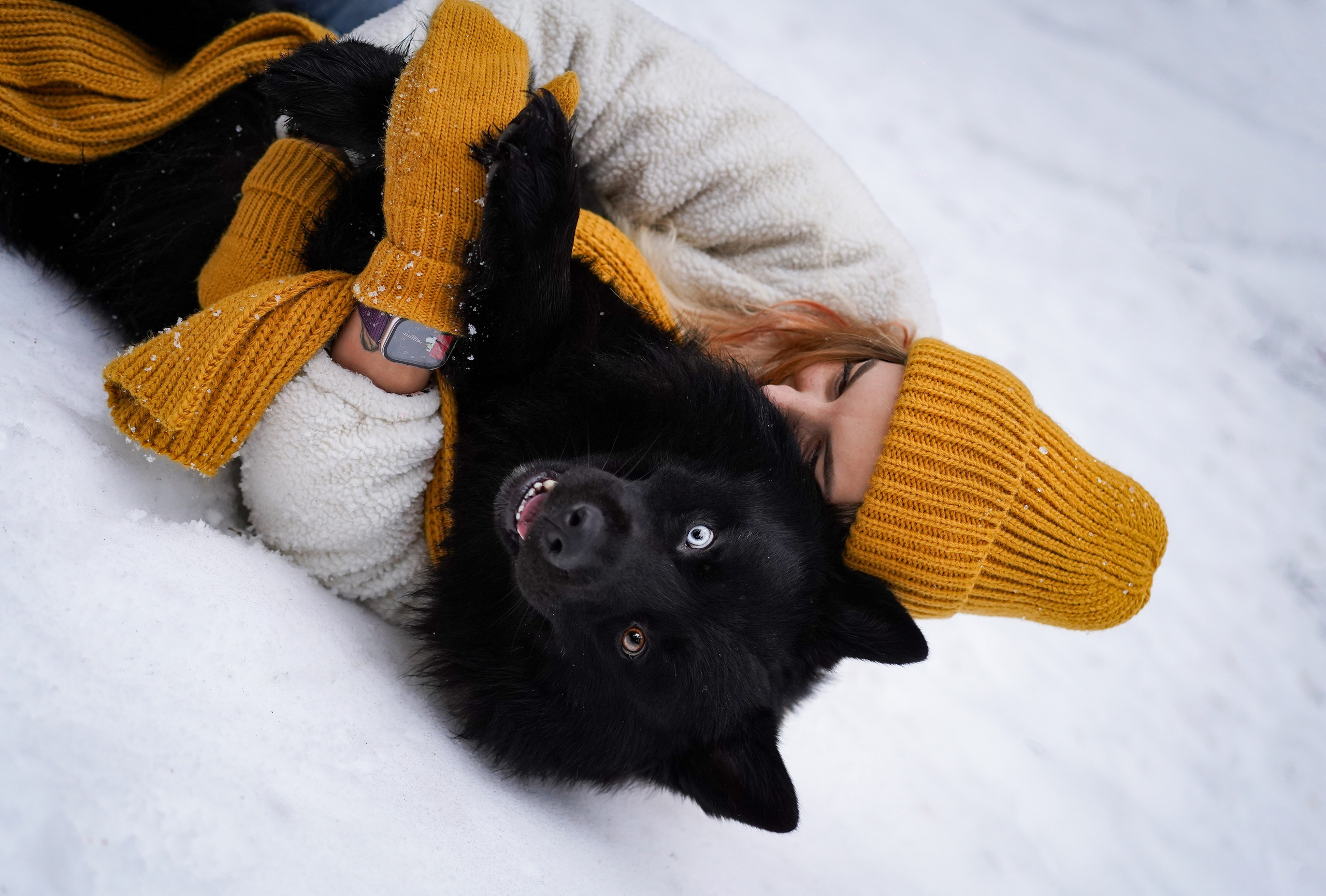 Лора Джанго и Хэппи. Фотограф-анималист в Санкт-Петербурге Яна Мартынова