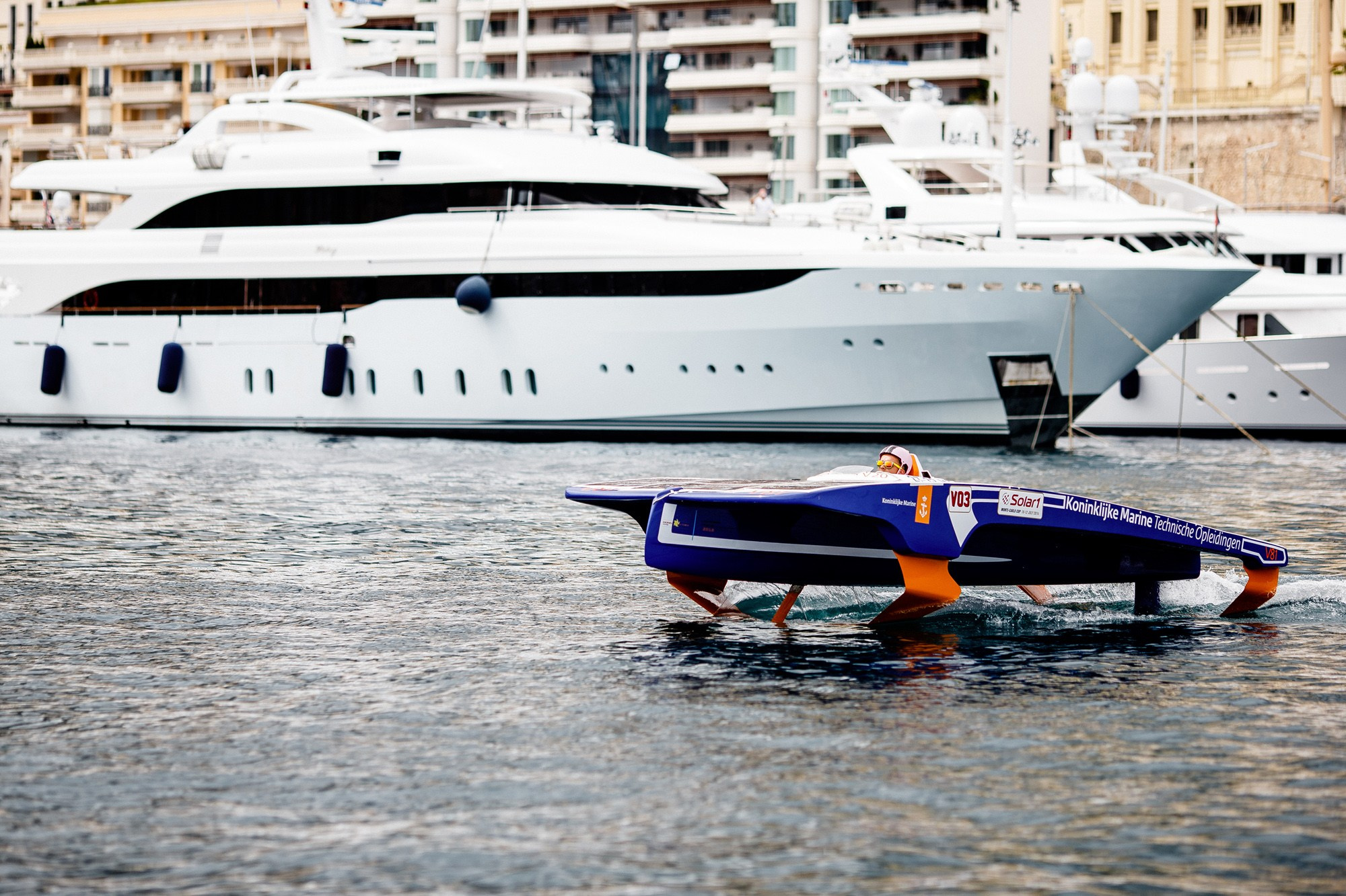 Report VIII. Veedoff