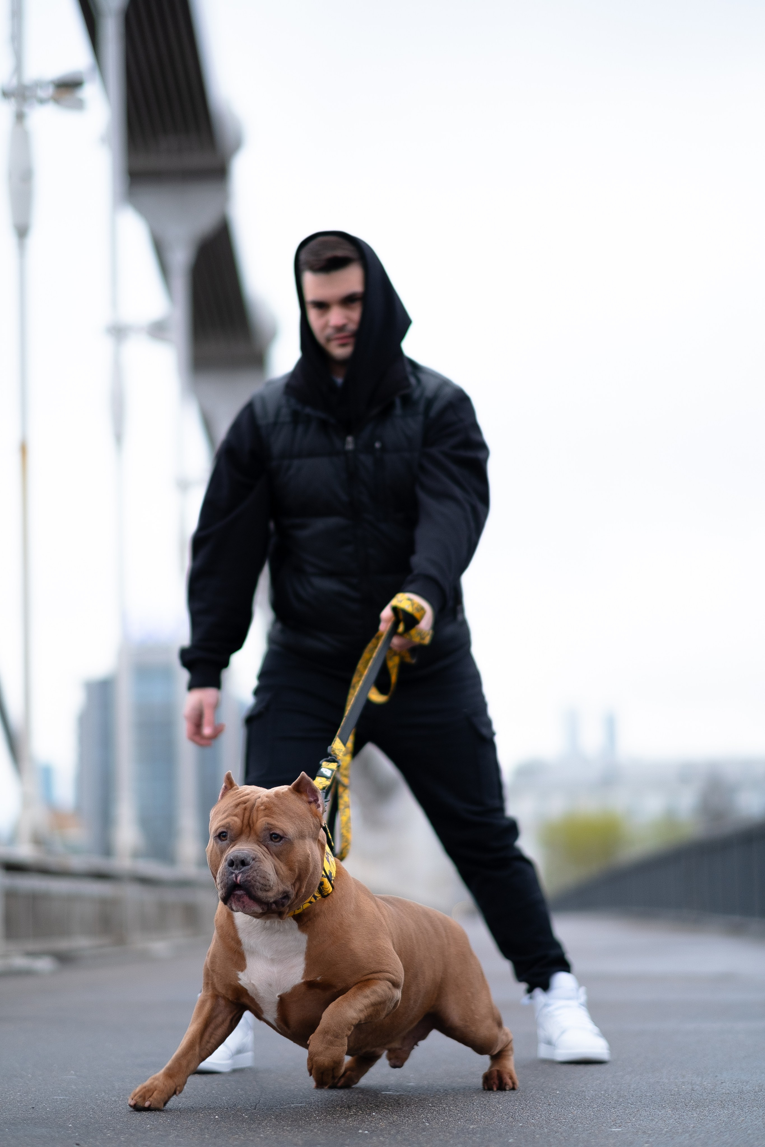 Спай и его семья. Фотограф и видеограф анималист Аганина Дарья