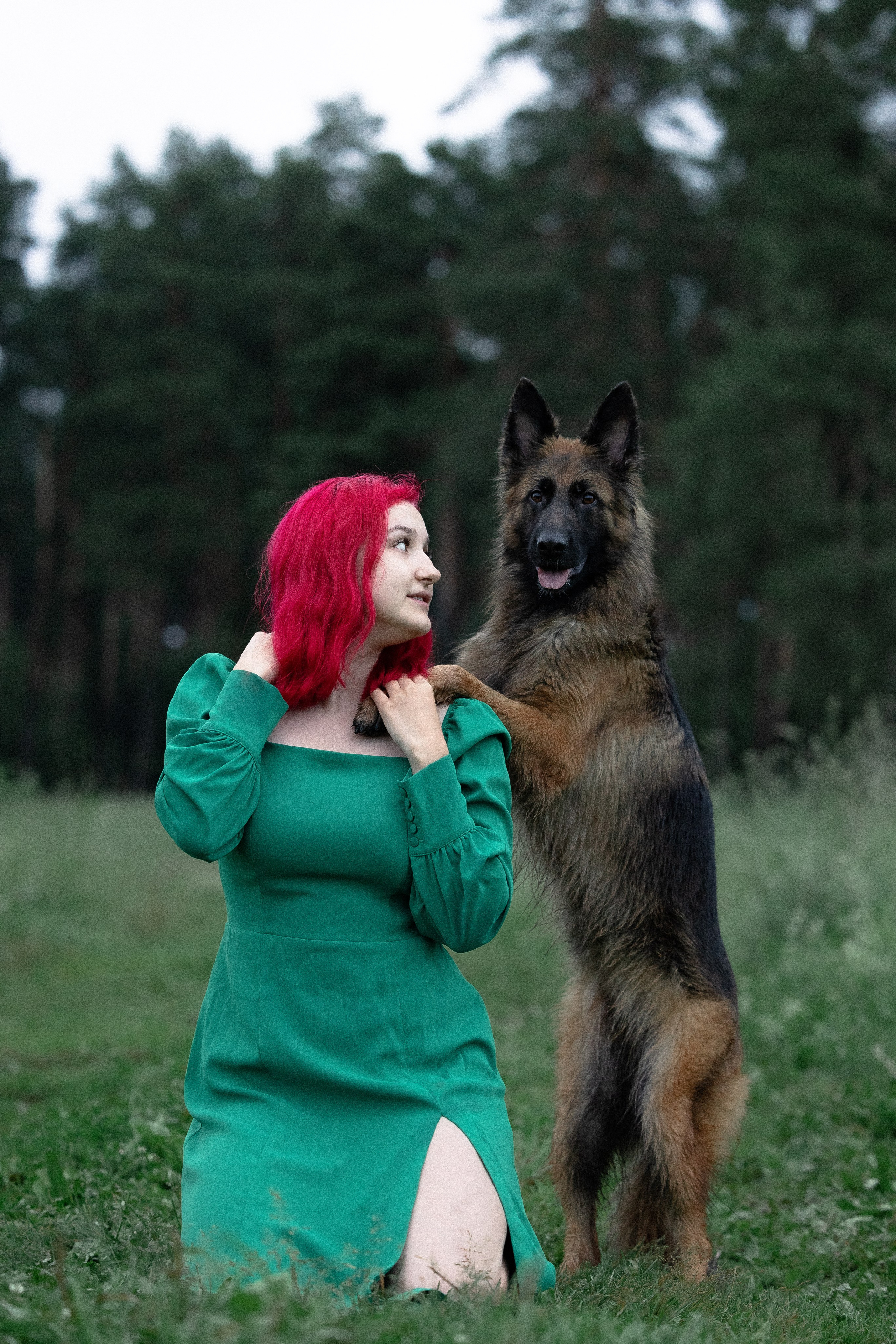 Алена, Фанни и Фрея. Фотограф и видеограф анималист Аганина Дарья