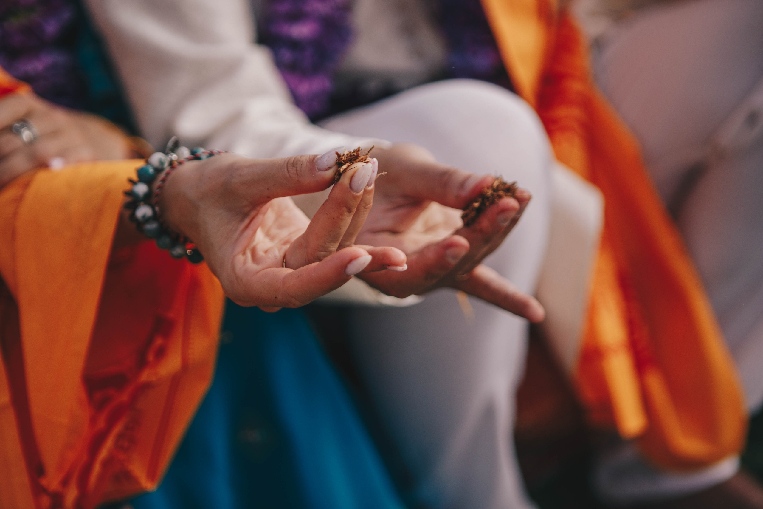 ВИВАХА. Фотограф Лебедева Наталья