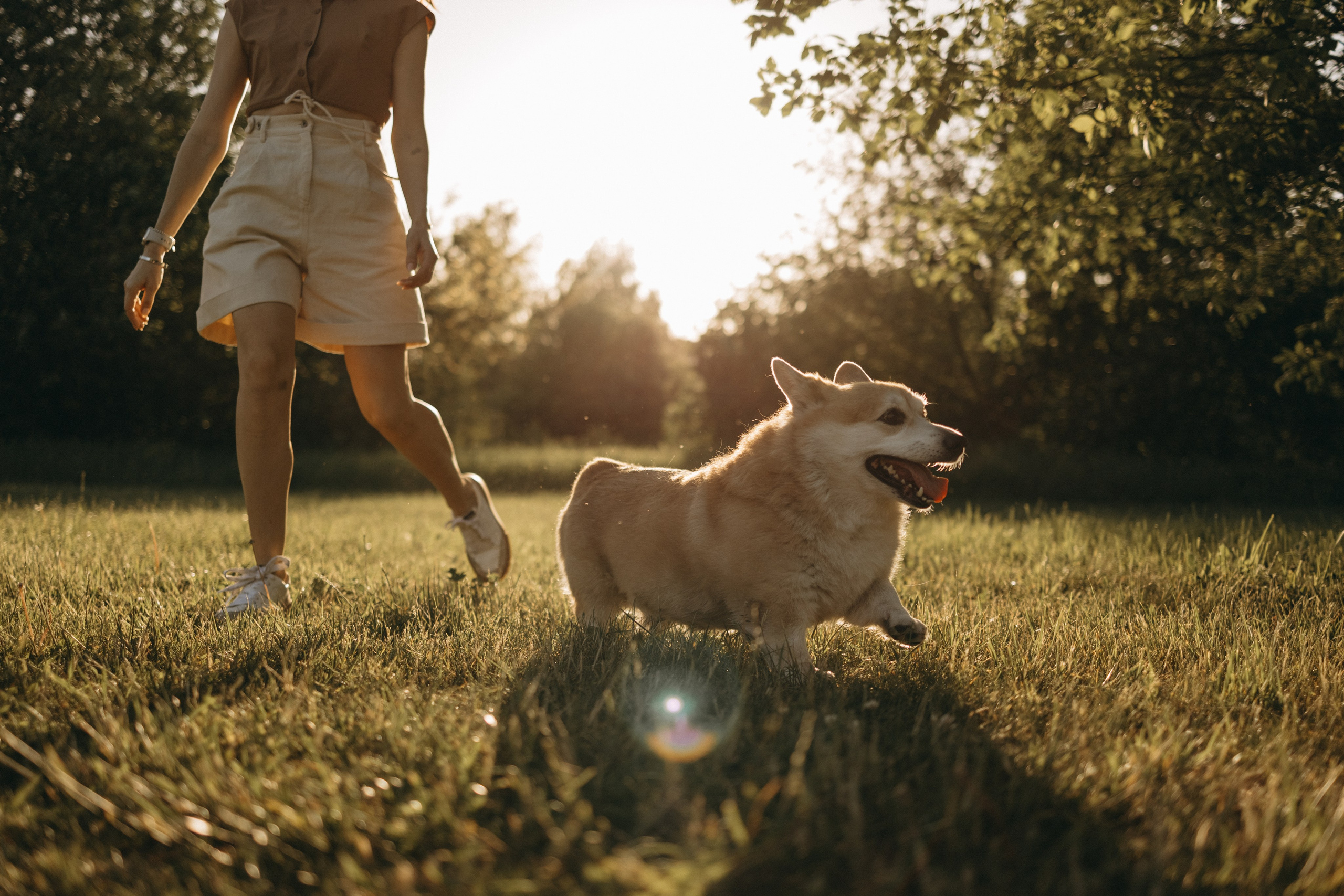 Кристина и Шелби. Фотограф — Анималист | Санкт-Петербург