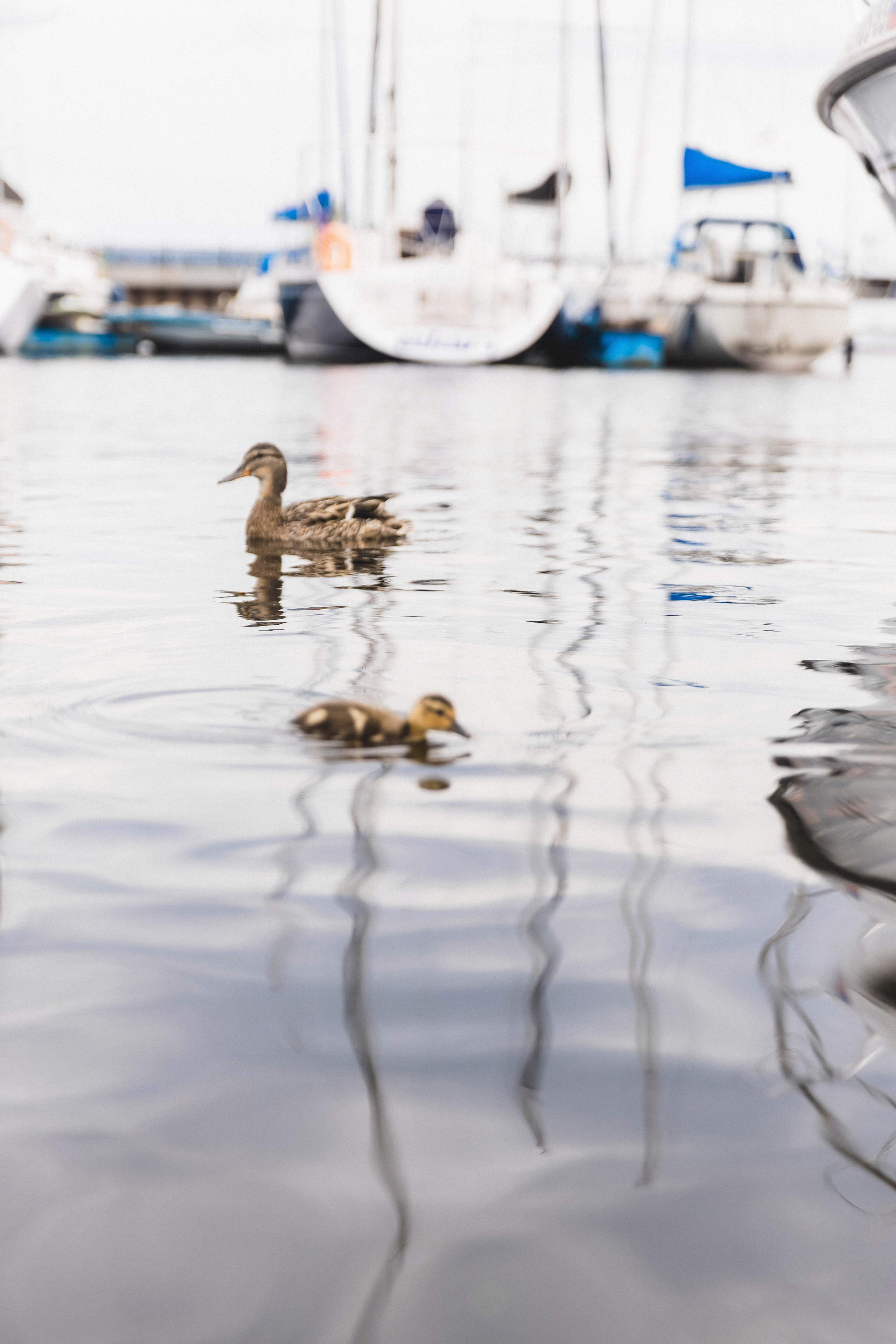 Никита и Марина 30.06.2023. Фотограф в Самаре Максим Тырин
