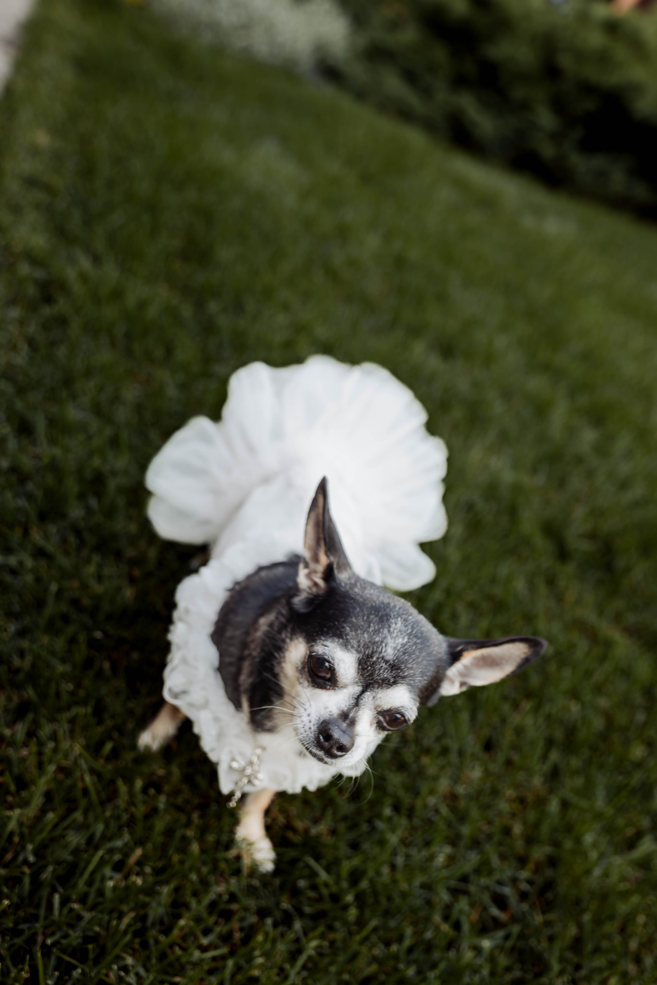 Никита и Марина 30.06.2023. Фотограф в Самаре Максим Тырин