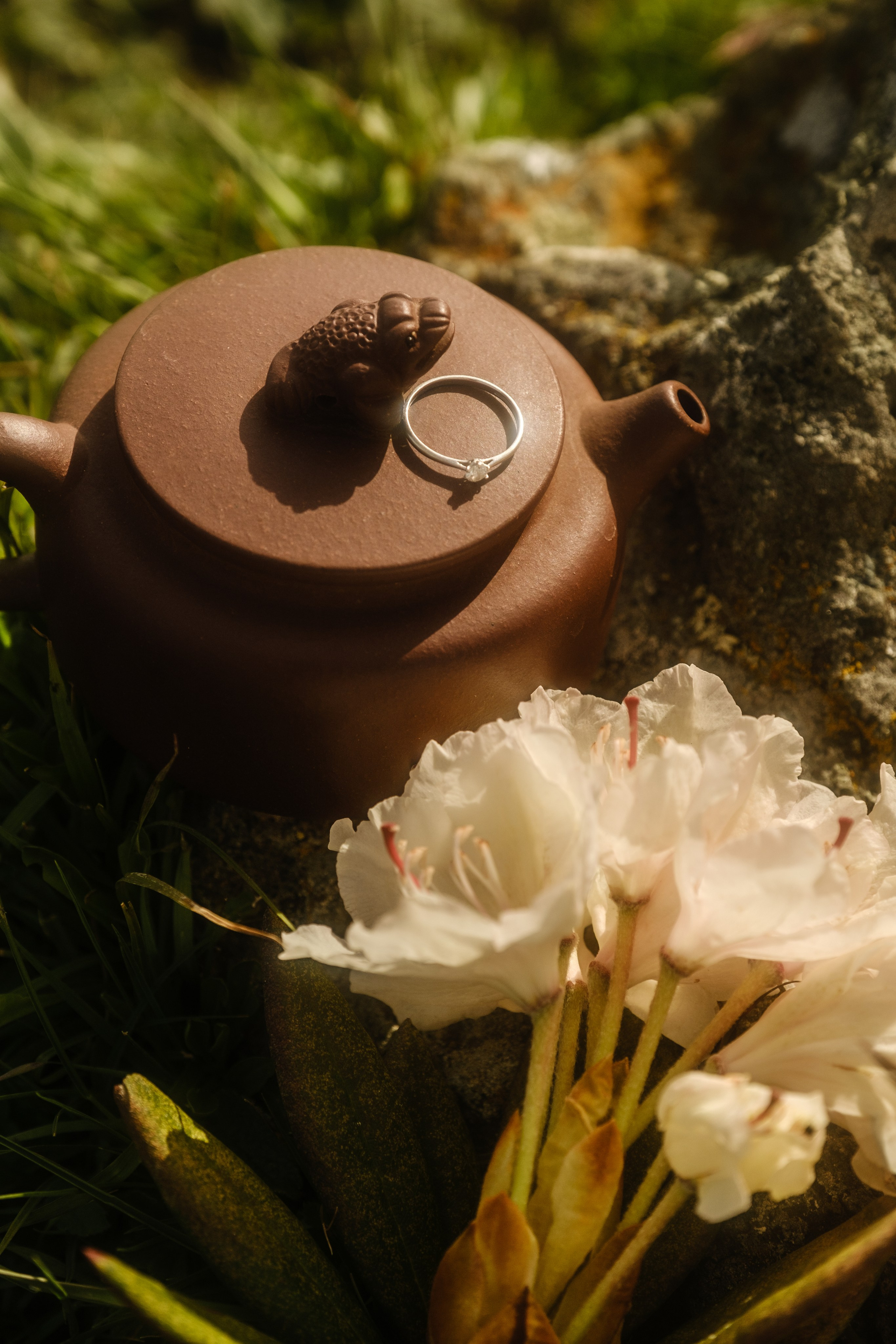 Wedding. Видеограф Фотограф в Сочи