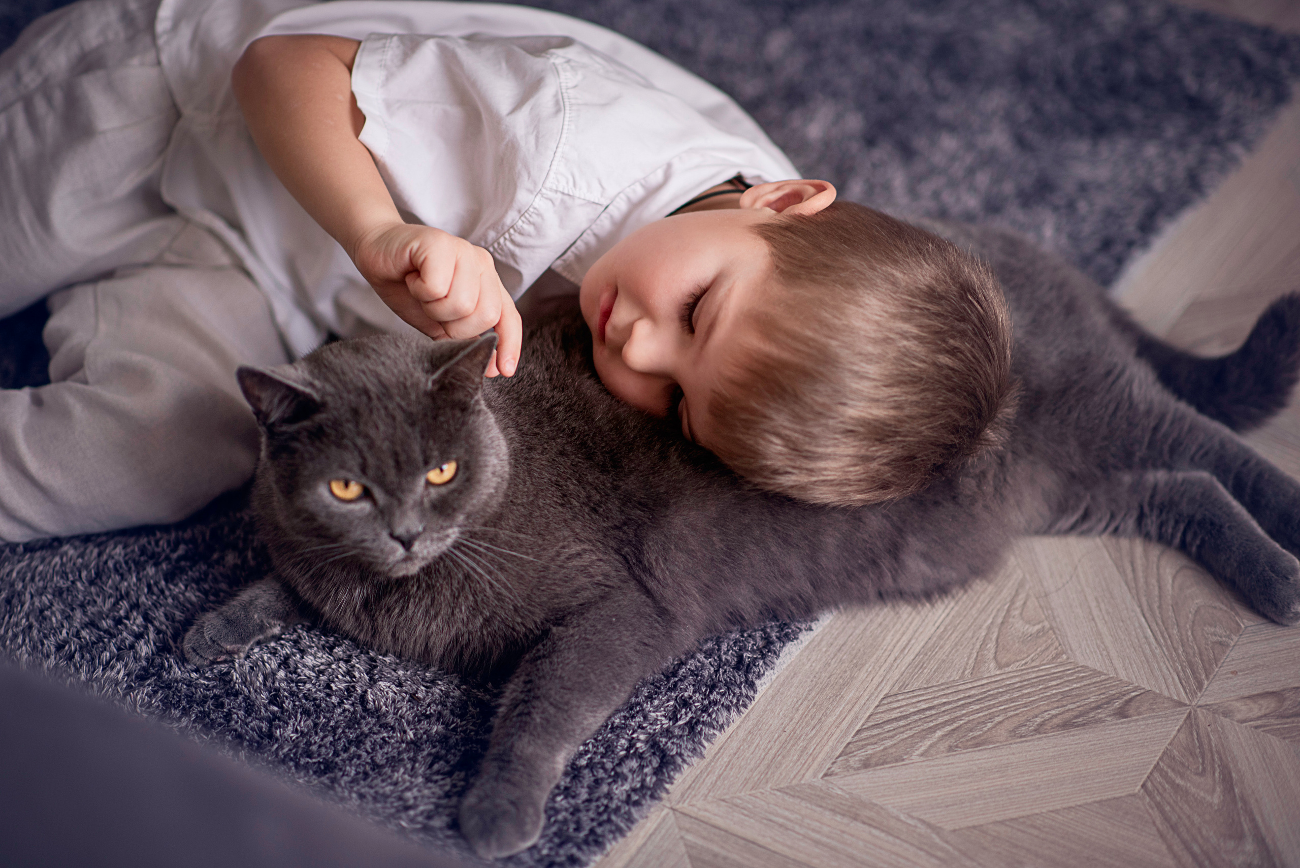 Дети и семьи в студии\дома. Семейный и детский фотограф Дарья Левкович, Калининград