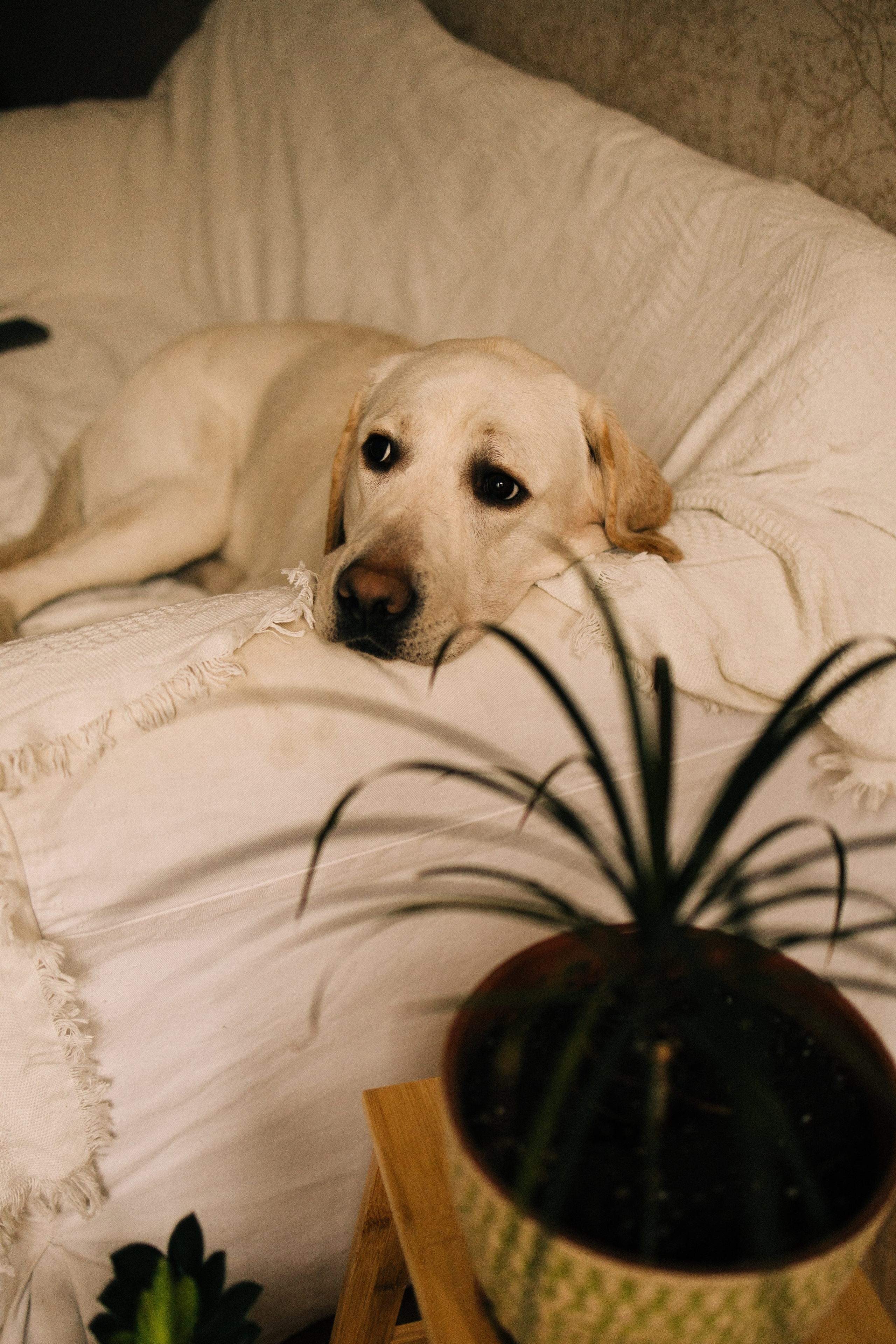 Дома трое. Фотограф Настя Леонова