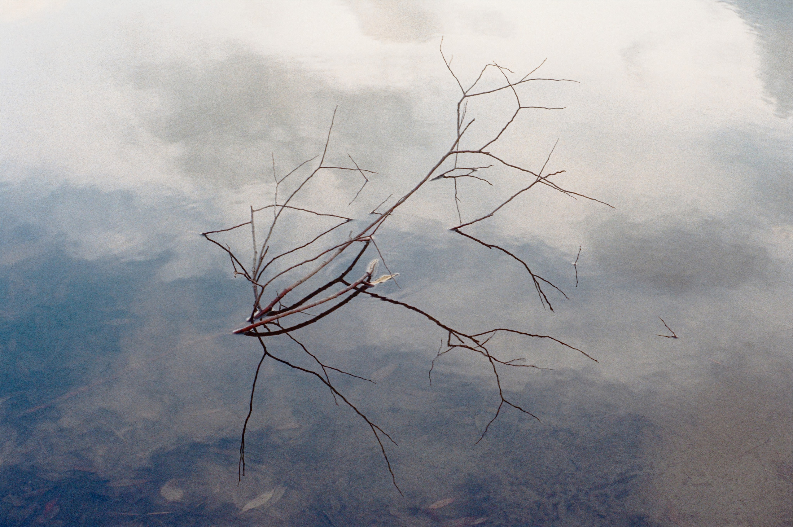 Margarita Rodionova — a contemporary lens-based artist currently working in Cancun, Mexico