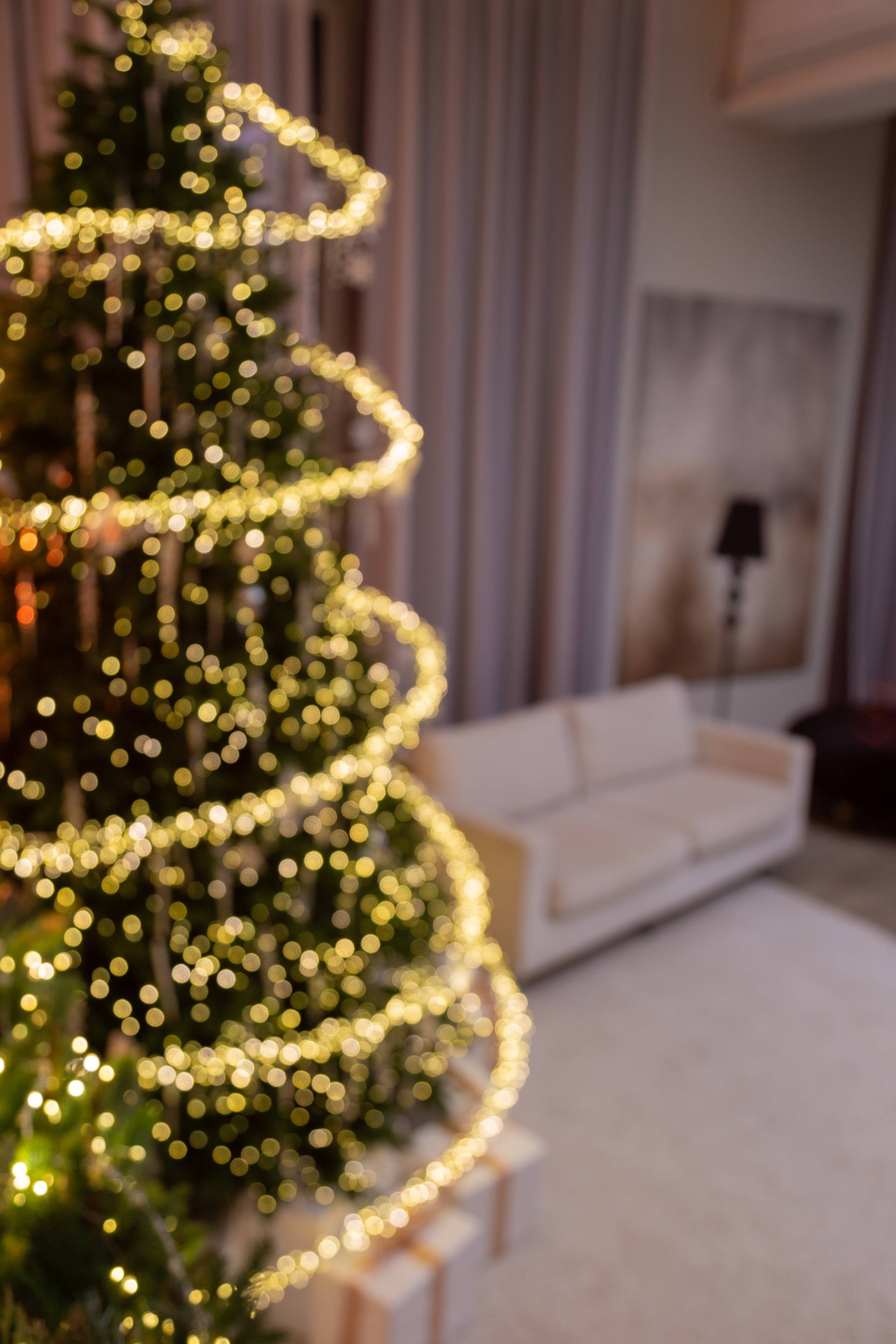 Белый Осел. Детский семейный фотограф Краснодар