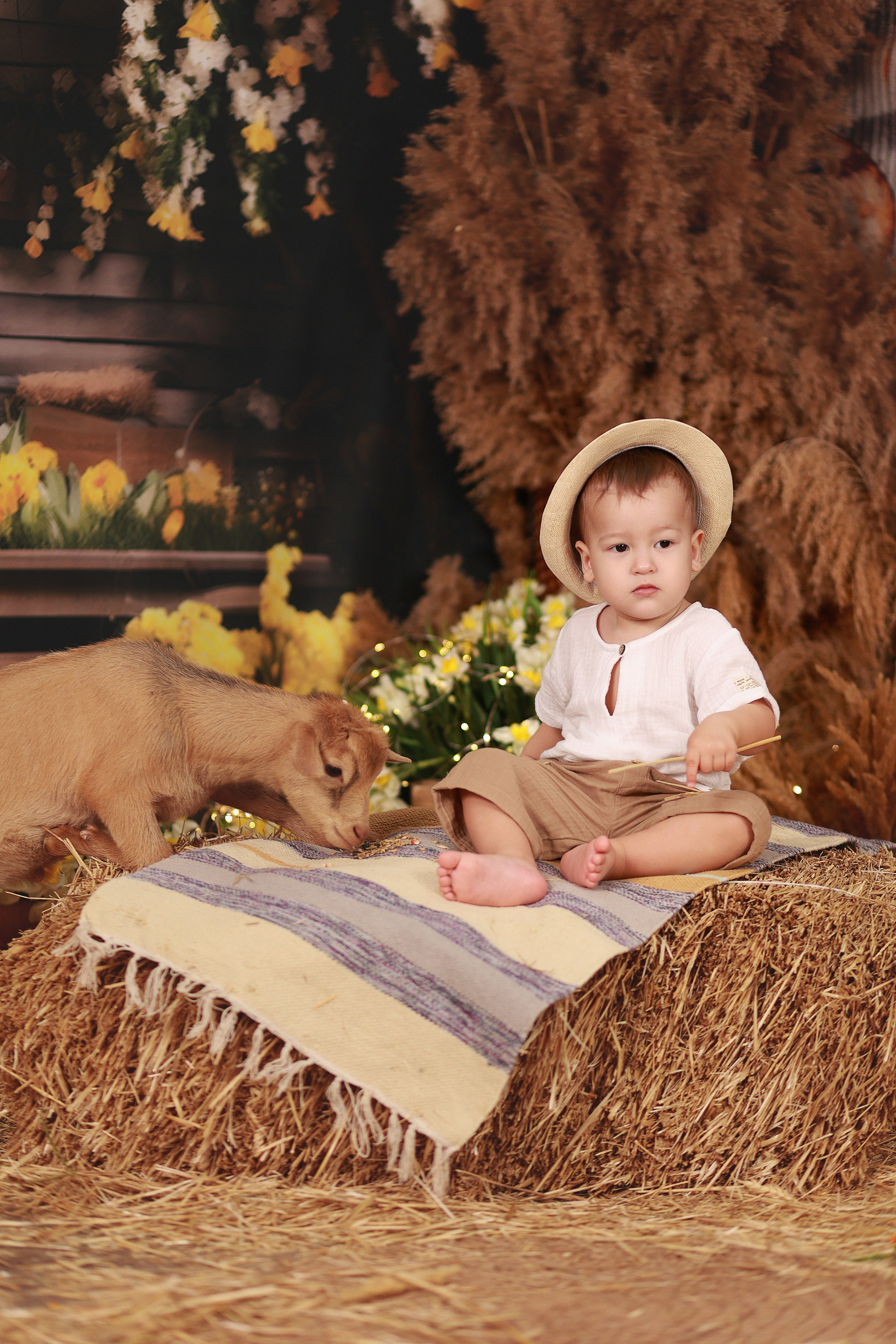 Фотопроект с козочкой и кроликами. Детский семейный фотограф Краснодар