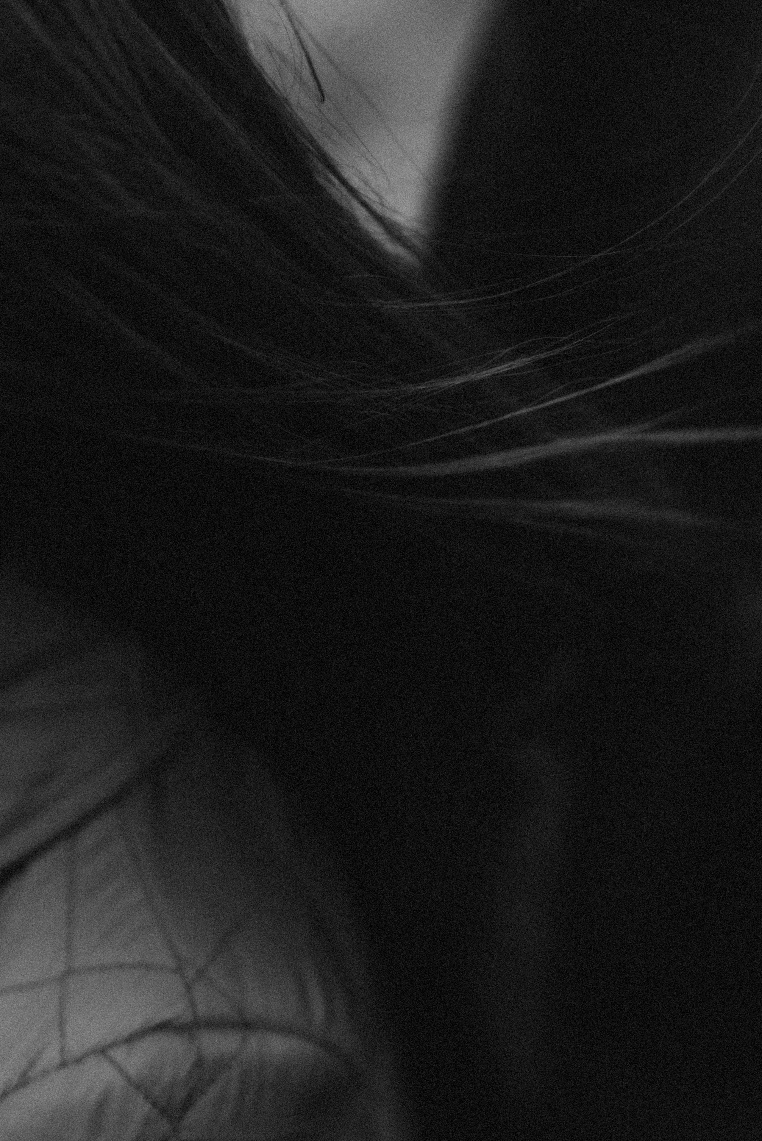 *. Фотограф Данил Бушуев