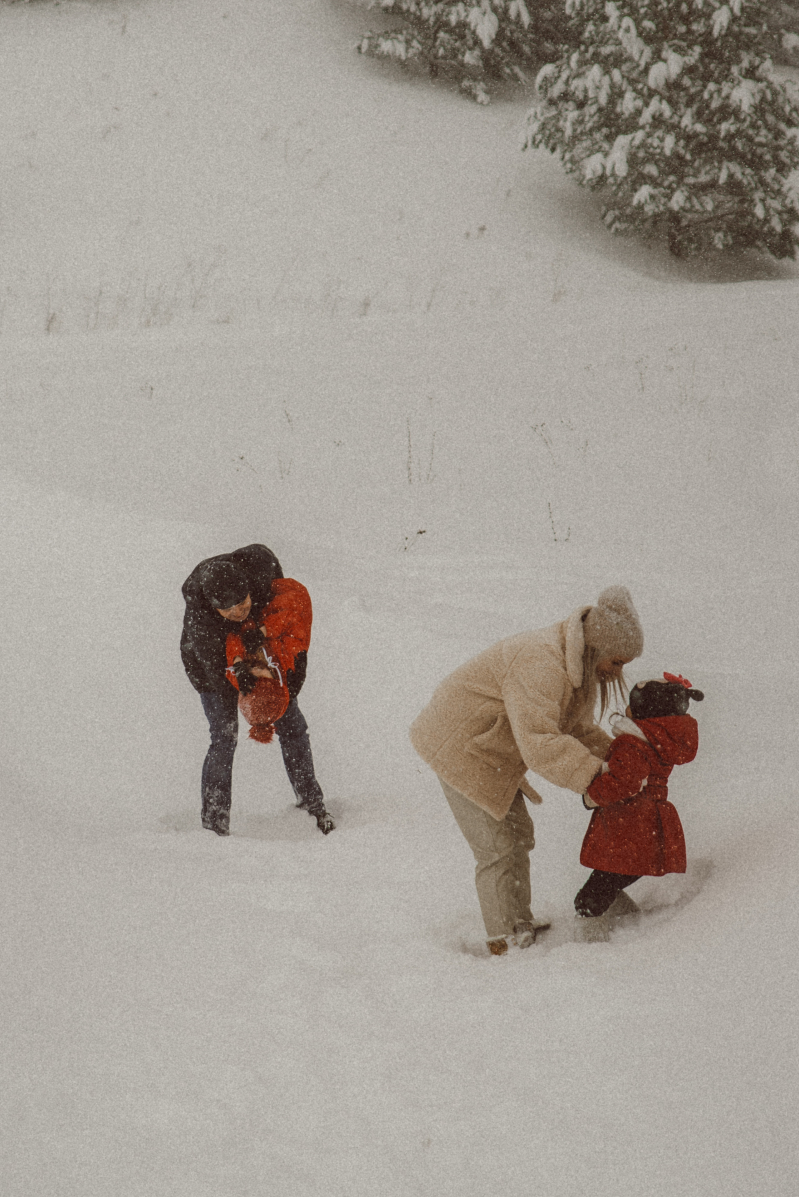 *. Фотограф Данил Бушуев
