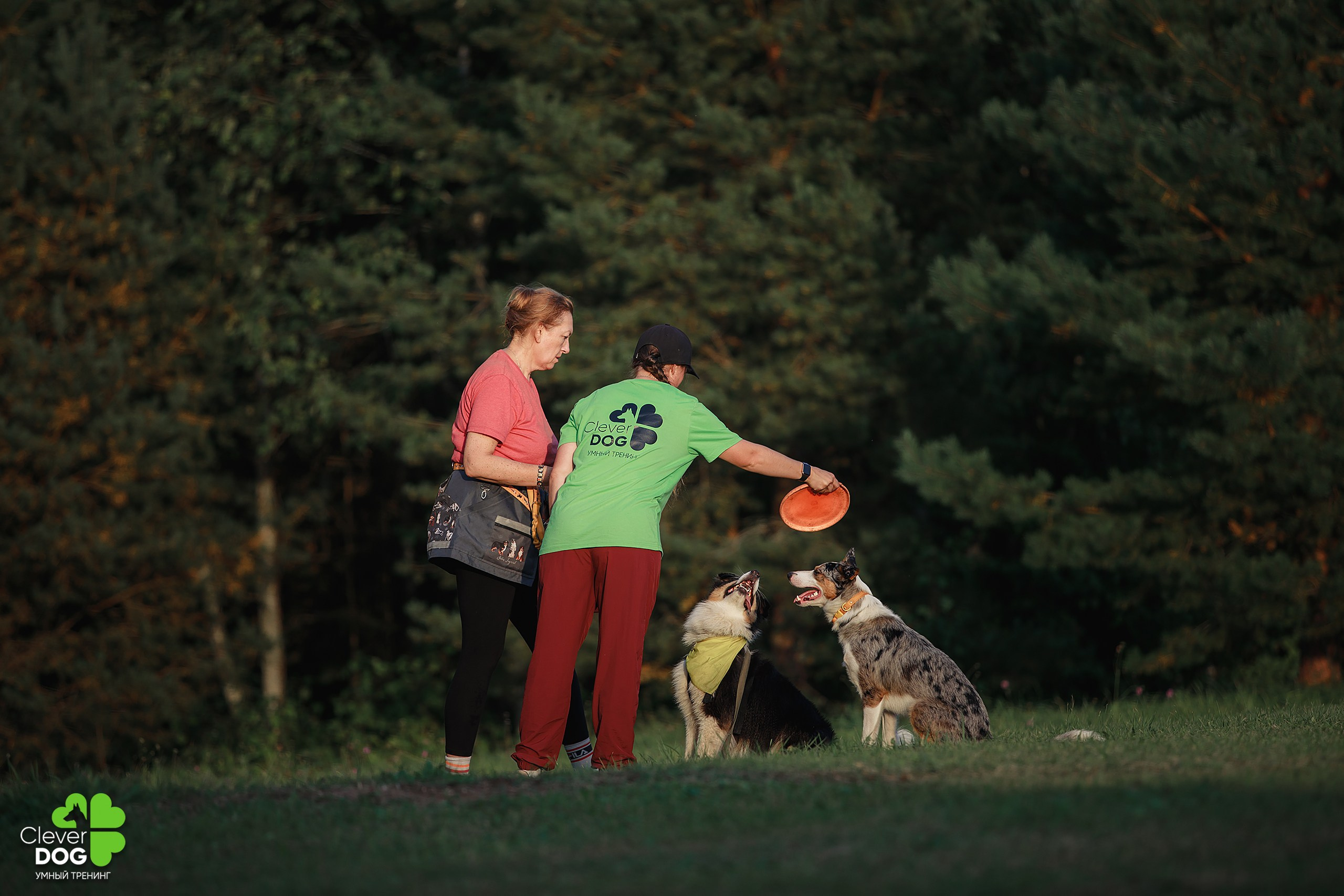 Кинологический лагерь CleverDog, 2024. Фотограф-анималист Mary Mart — Москва, Питер
